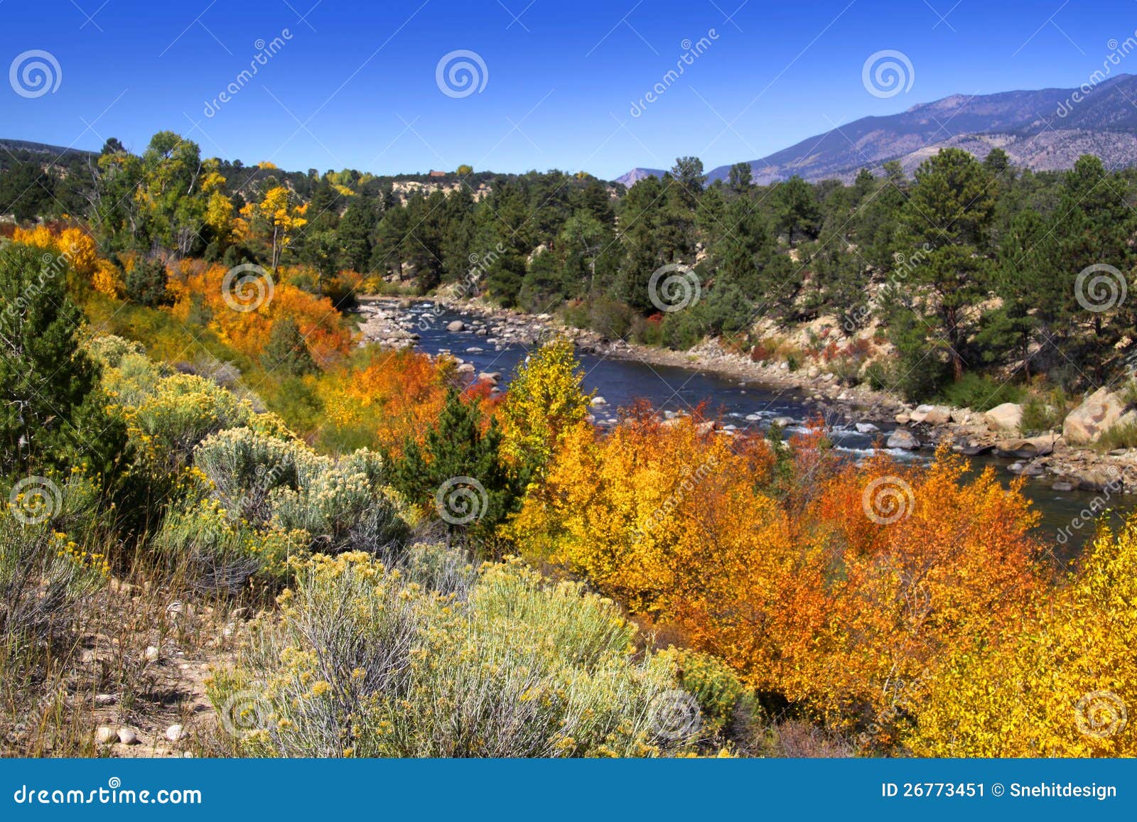 Buena Vista River stock image. Image of land, colorful 26773451