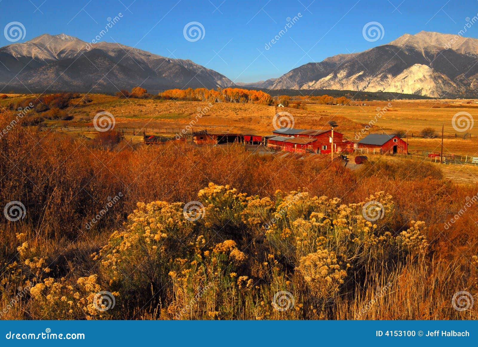 buena vistas and farm