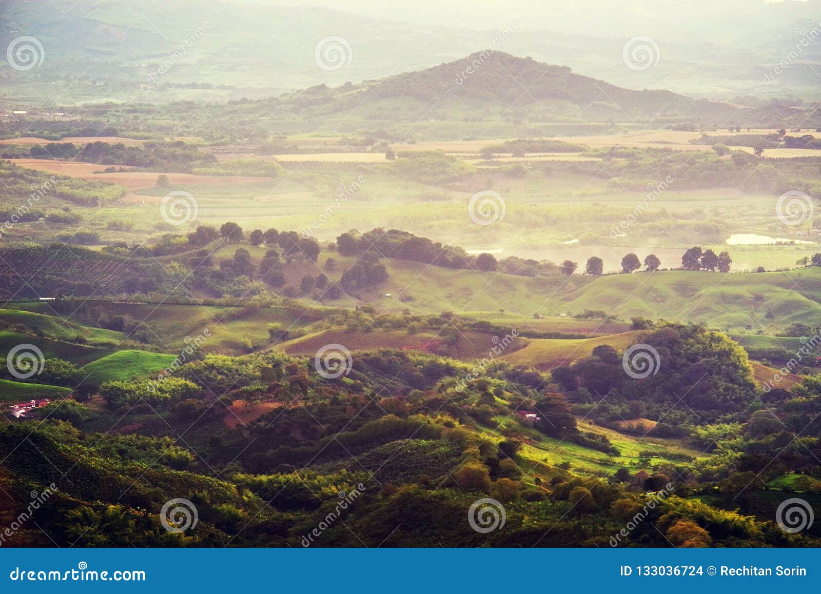 foggy landscape of the hills covered in coffee and banana plantations near buenavista