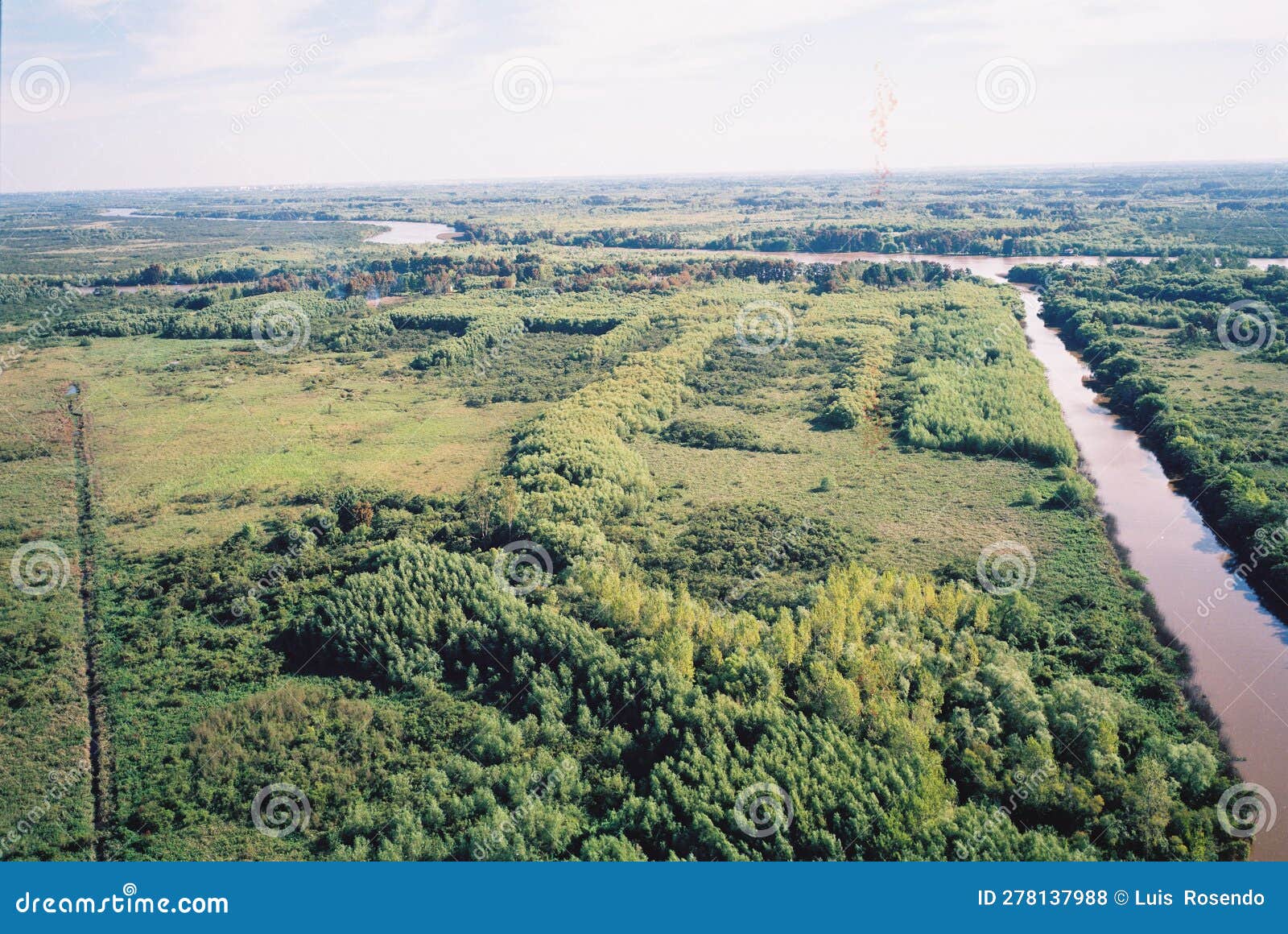 buenos aires,argentina,island tigre,el tigre,river,air viux,tree,parana river,grass,green