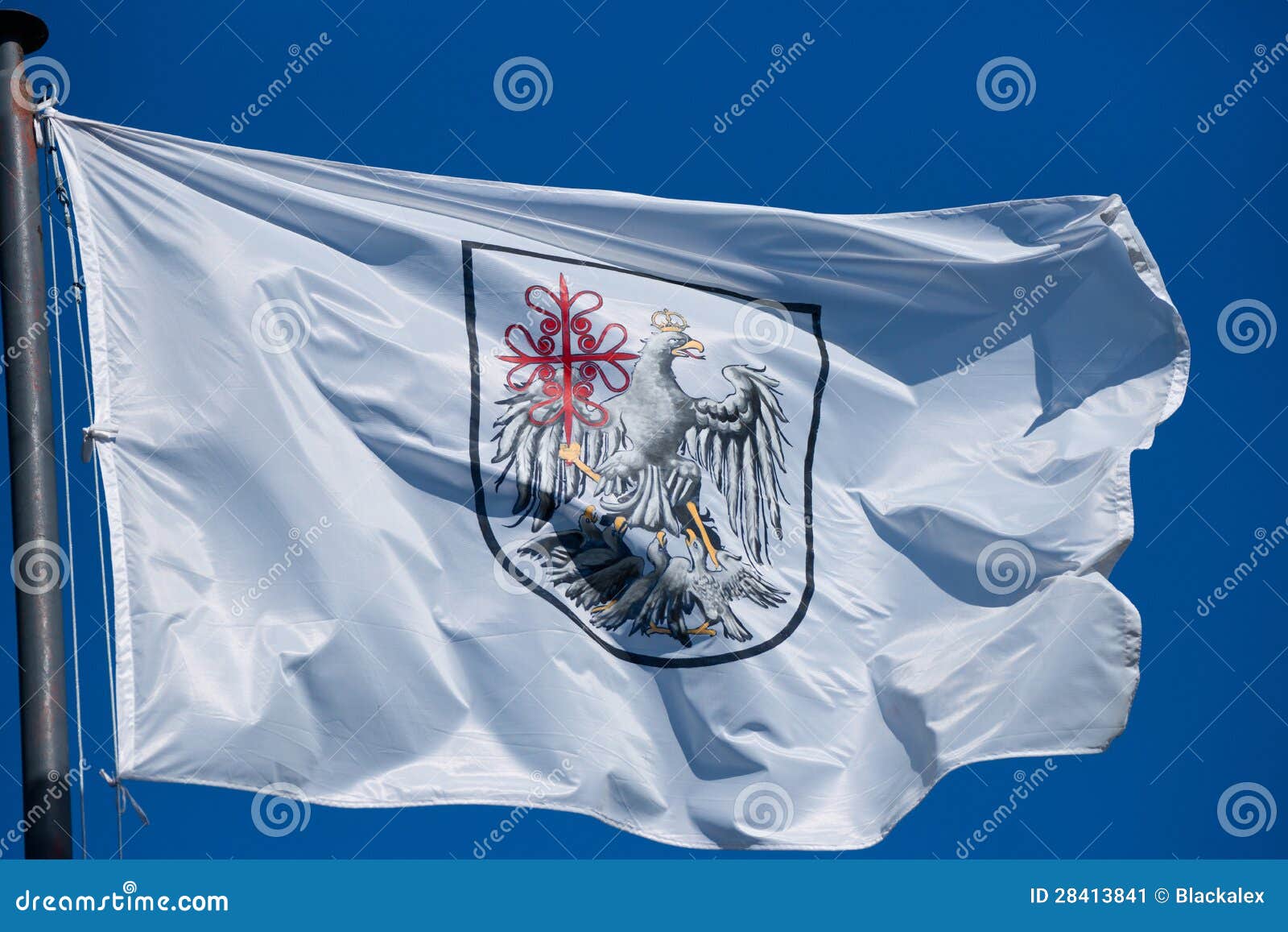 2,033 Buenos Aires Flag Photos - Free & Royalty-Free Stock Photos from