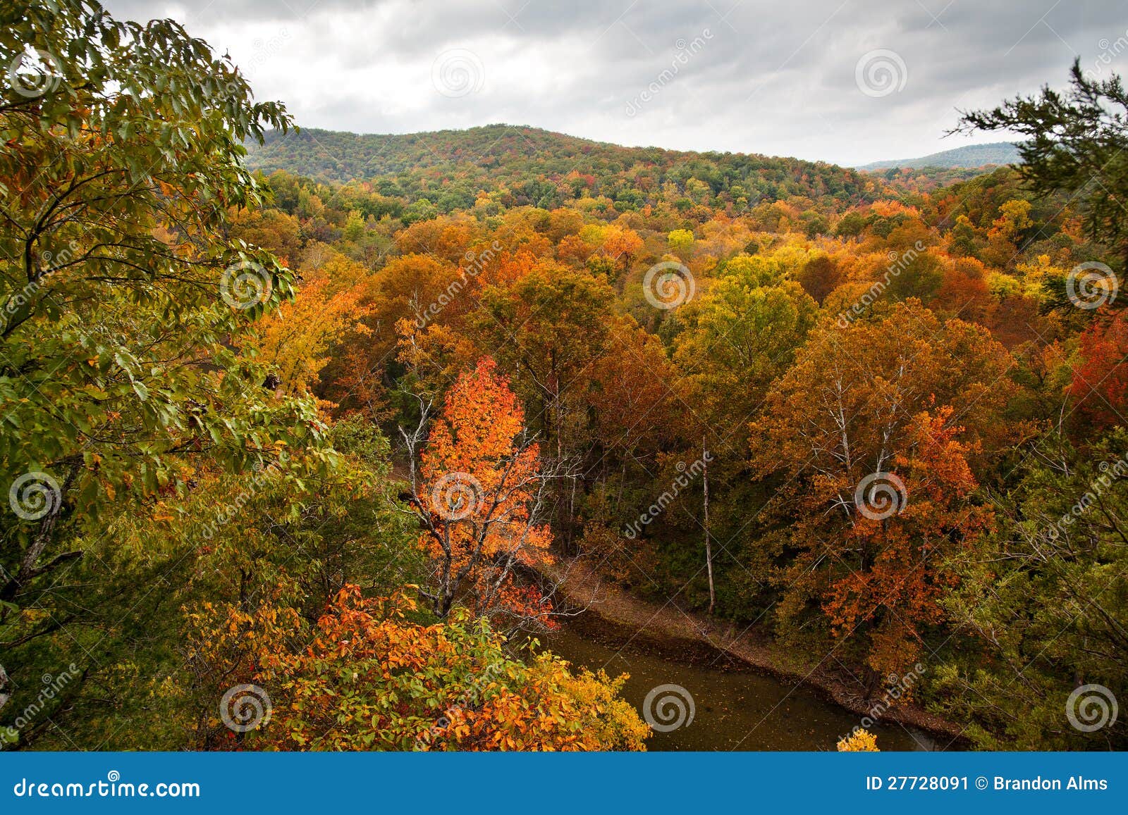 Buffalo River in the Autumn Stock Image Image of united, leaves 27728091