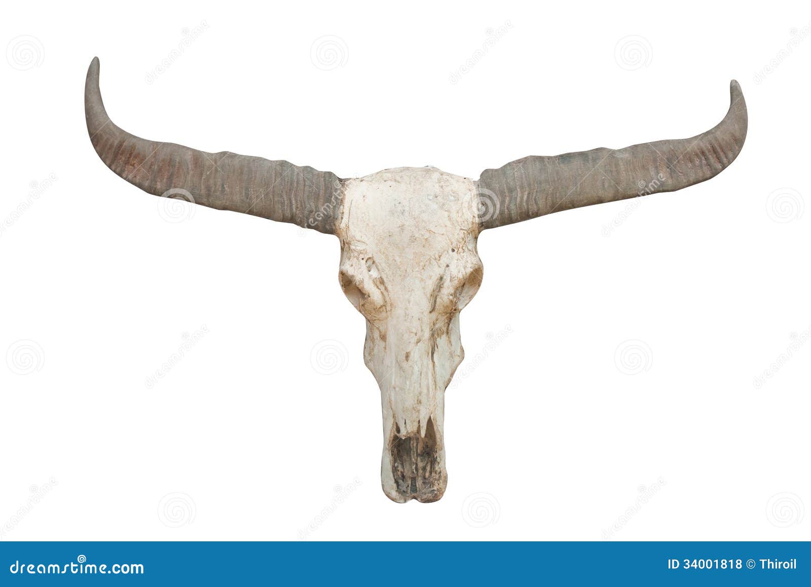 HD wallpaper white and black bull skull logo figure horns red  background  Wallpaper Flare