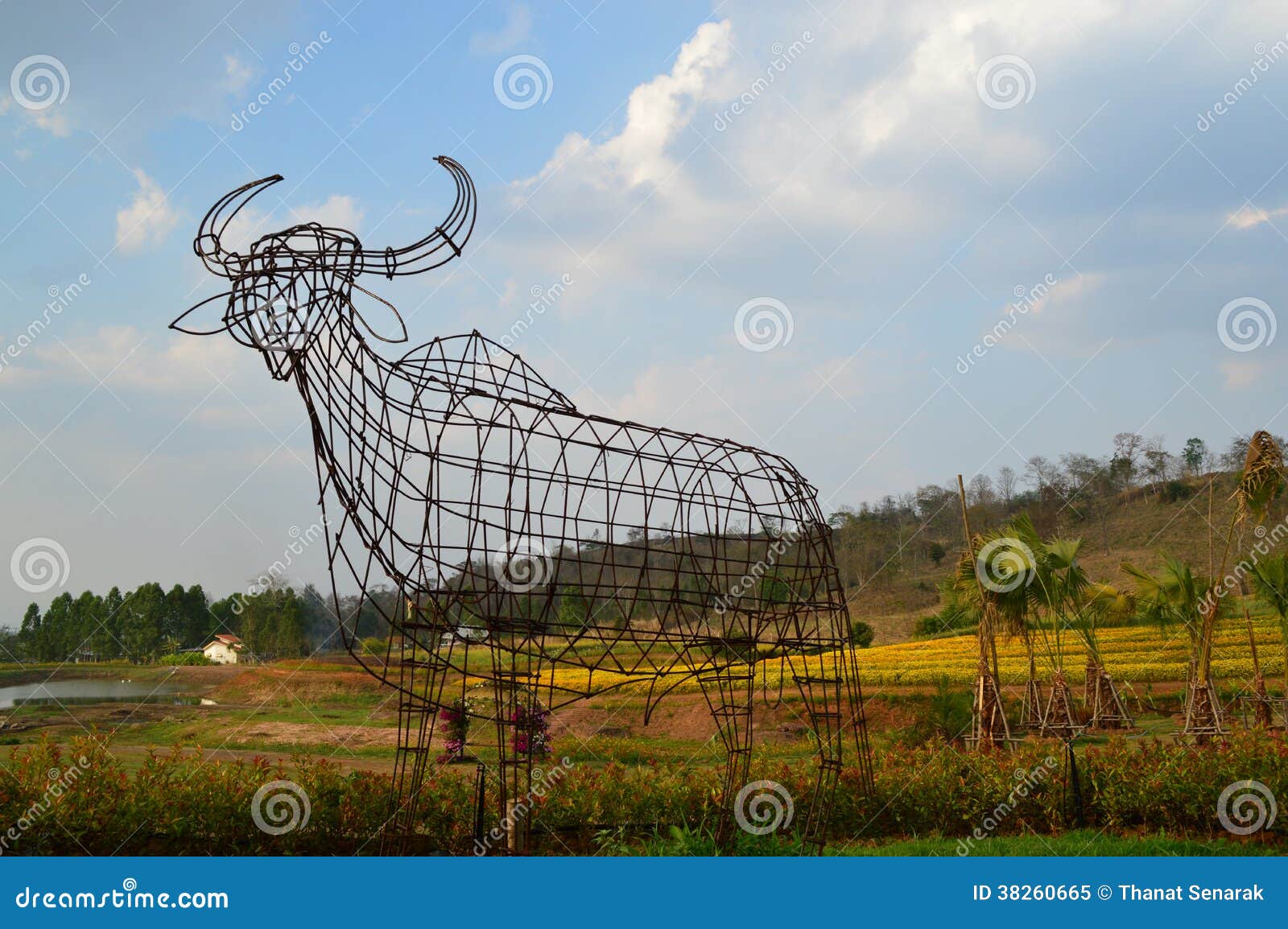 Buffalo steel stock image. Image of iron, garden, sale 38260665