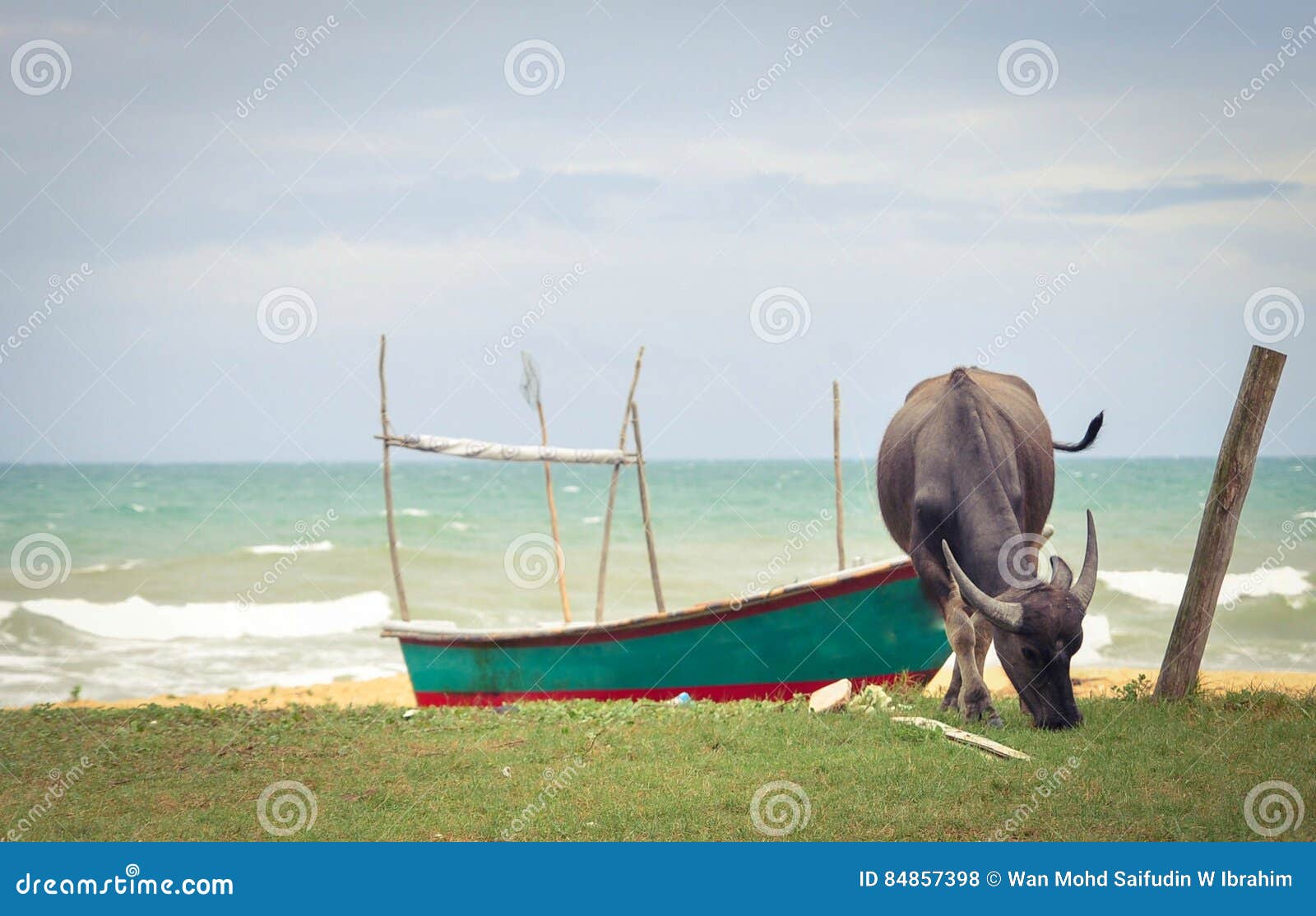 Buffaloed 库存照片. 图片 包括有 海运, 火箭筒, 小船, 风景 84857398