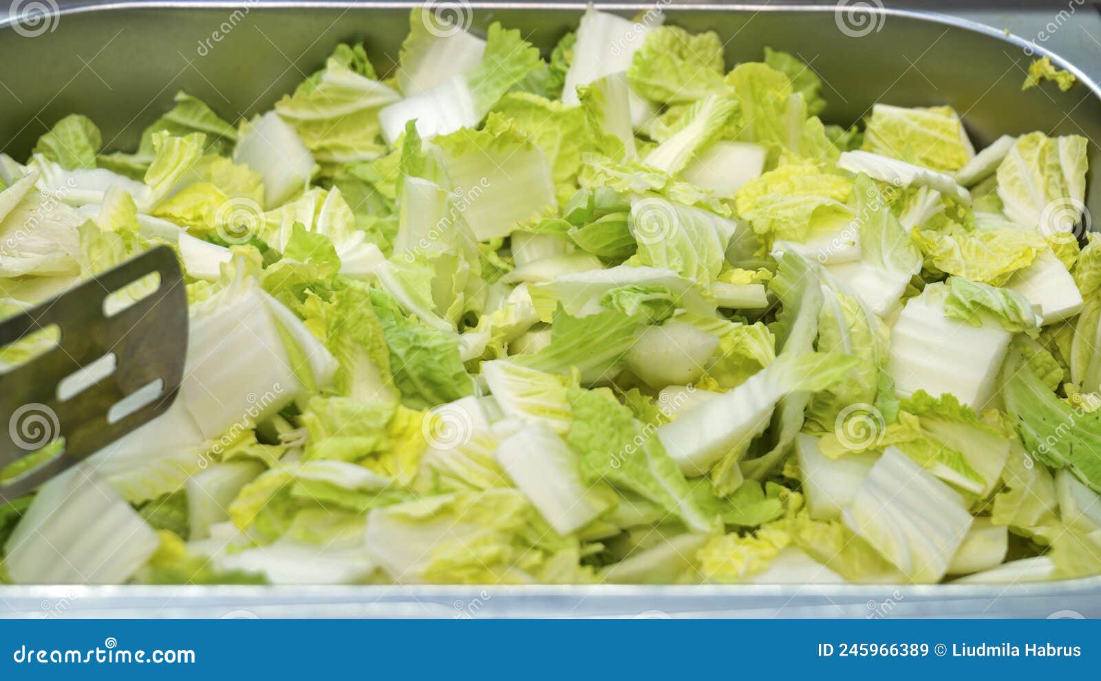 Buffet Green Salad, Cabbage Closeup Stock Image Image of cooking