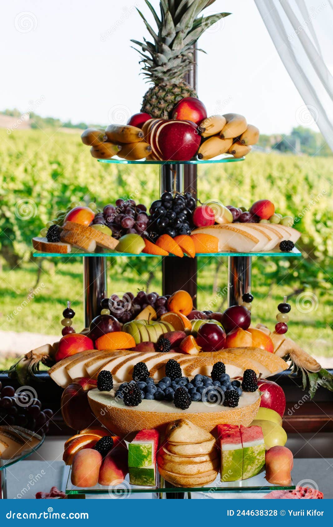 Buffet Reception Fruit for a Wedding. Assortment of Exotic Fruits Stock