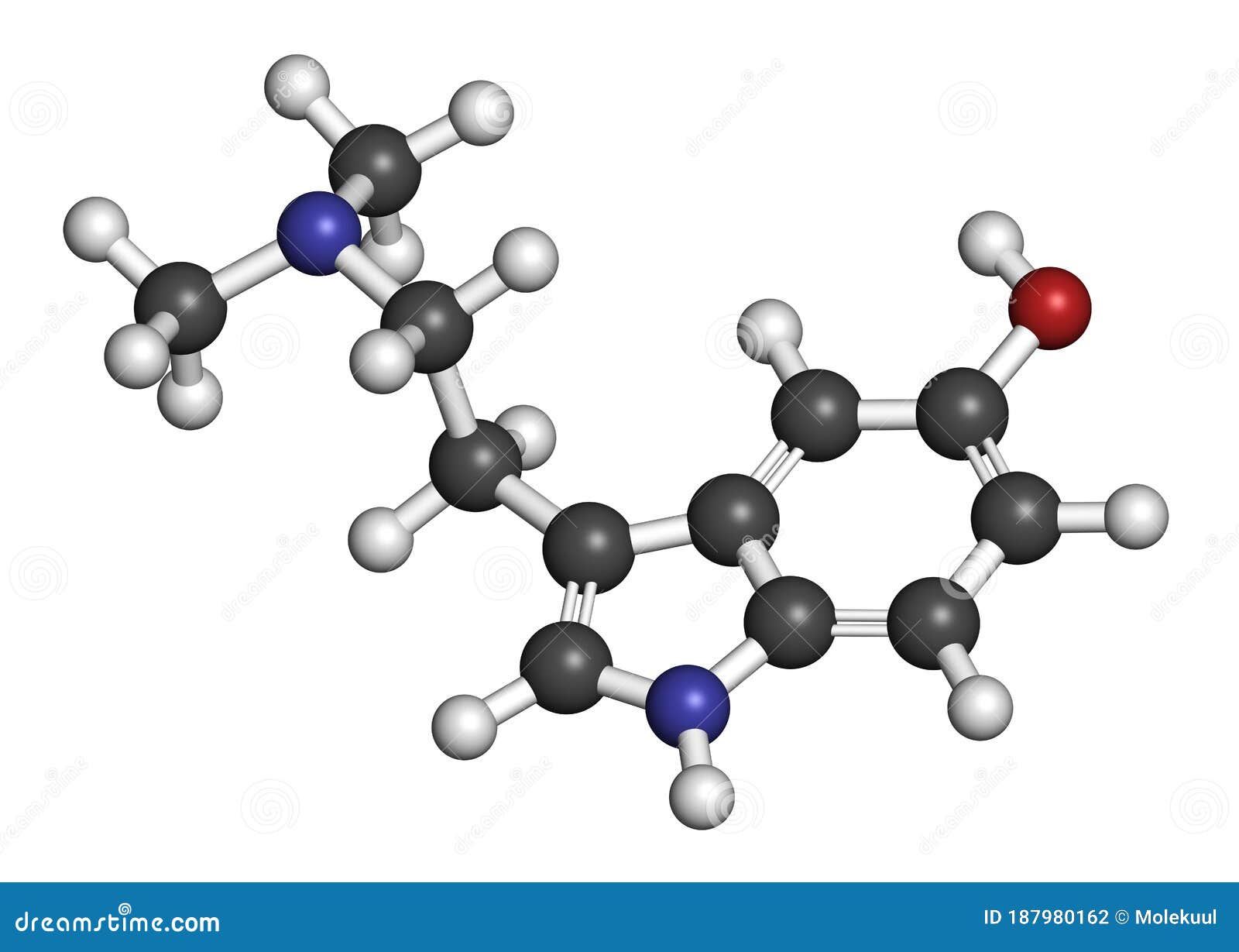 bufotenin molecule. tryptamine present in several psychedelic toads. 3d rendering. atoms are represented as spheres with.