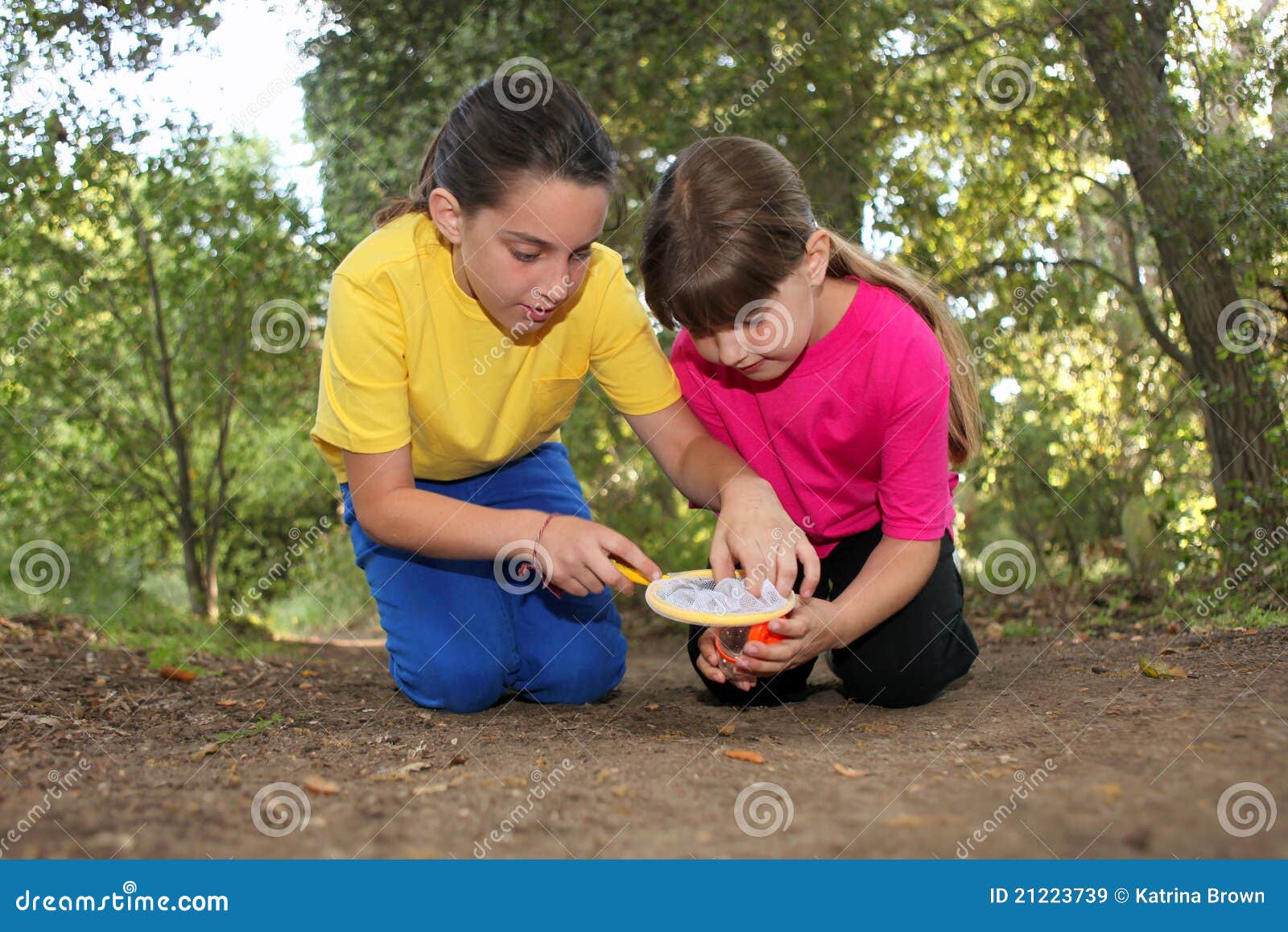 Bug Hunting in the Woods stock image. Image of look, happy 21223739
