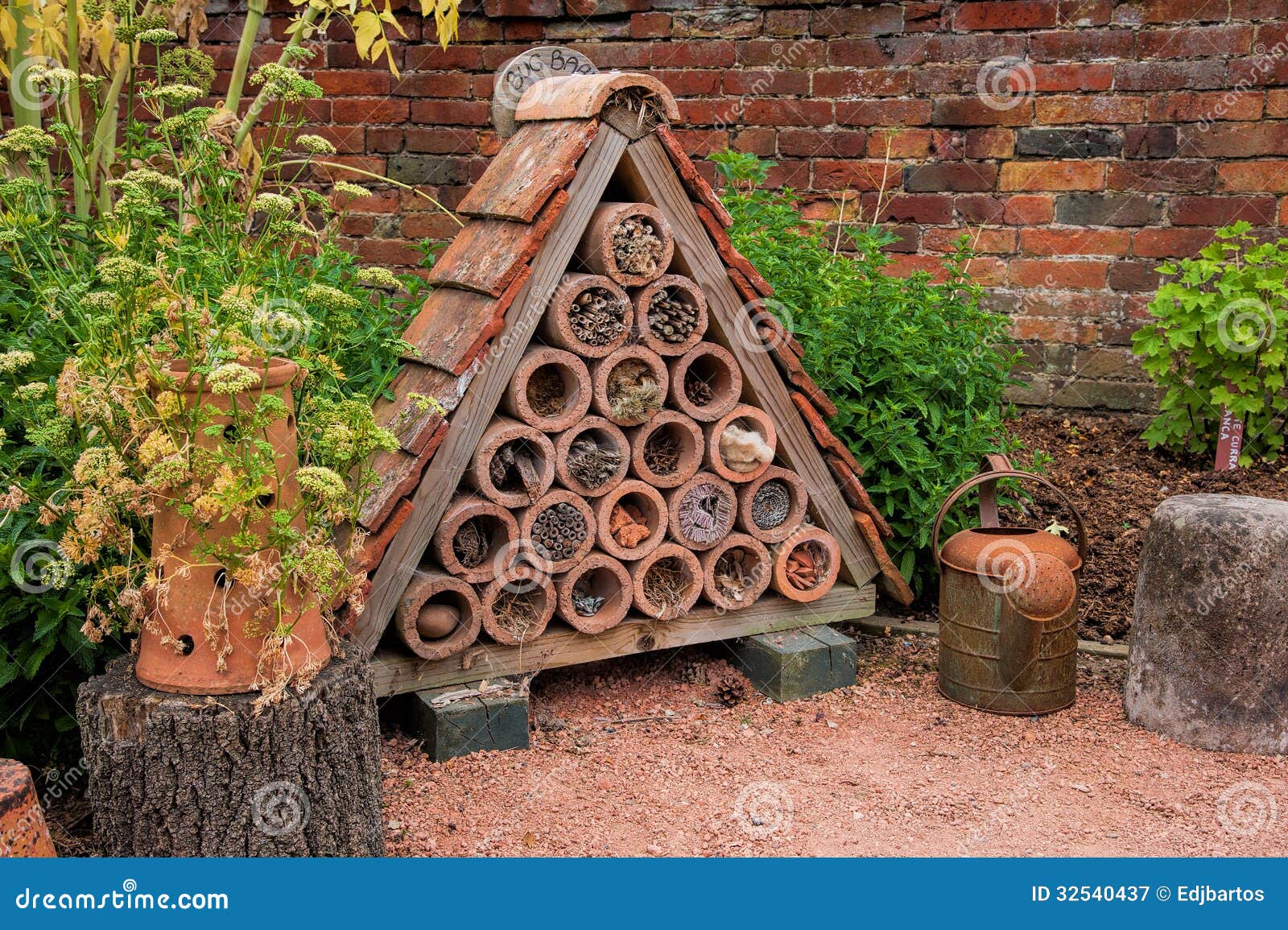 bug or insect house