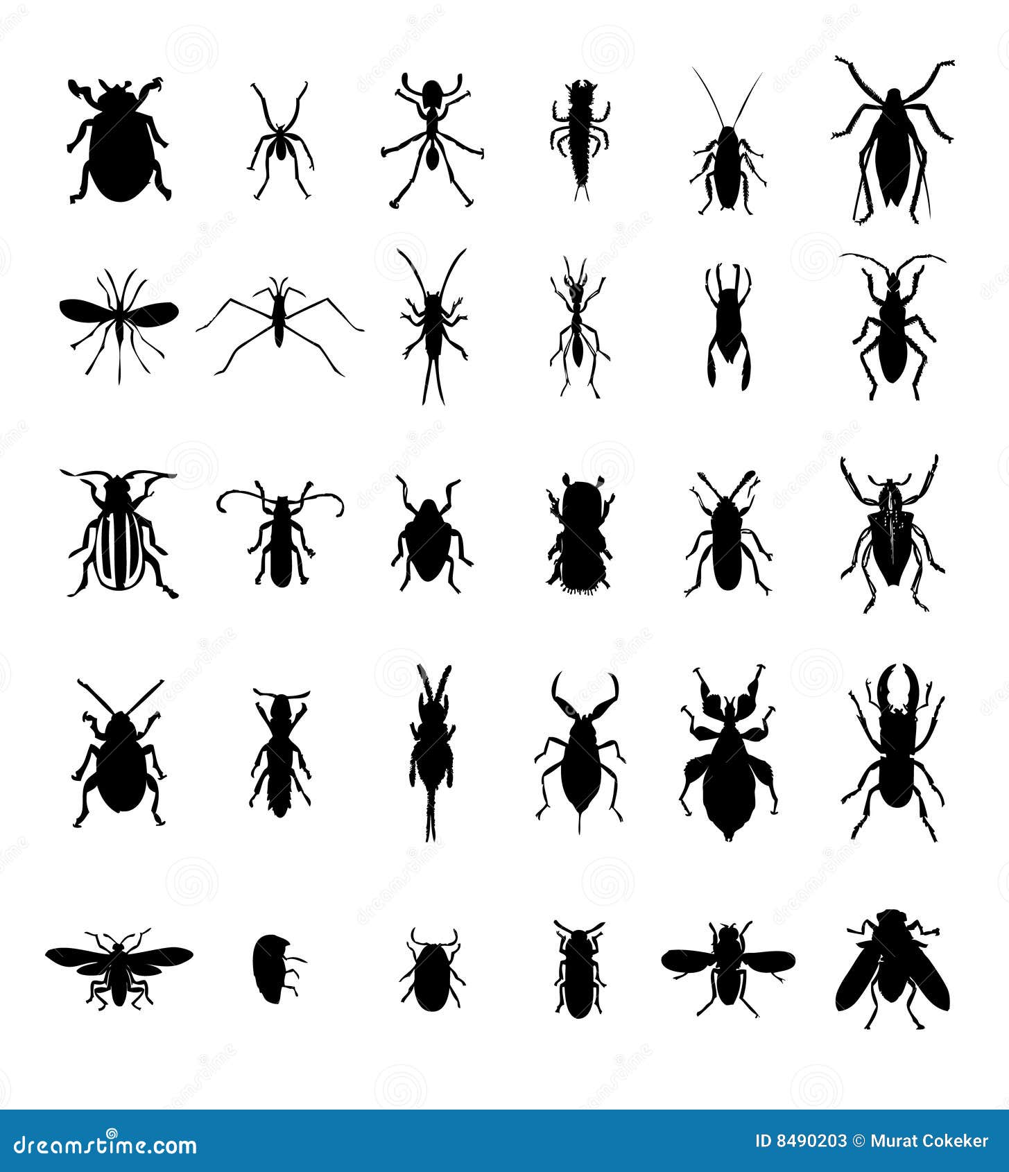 Bug insect silhouettes stock vector. Illustration of outline 8490203