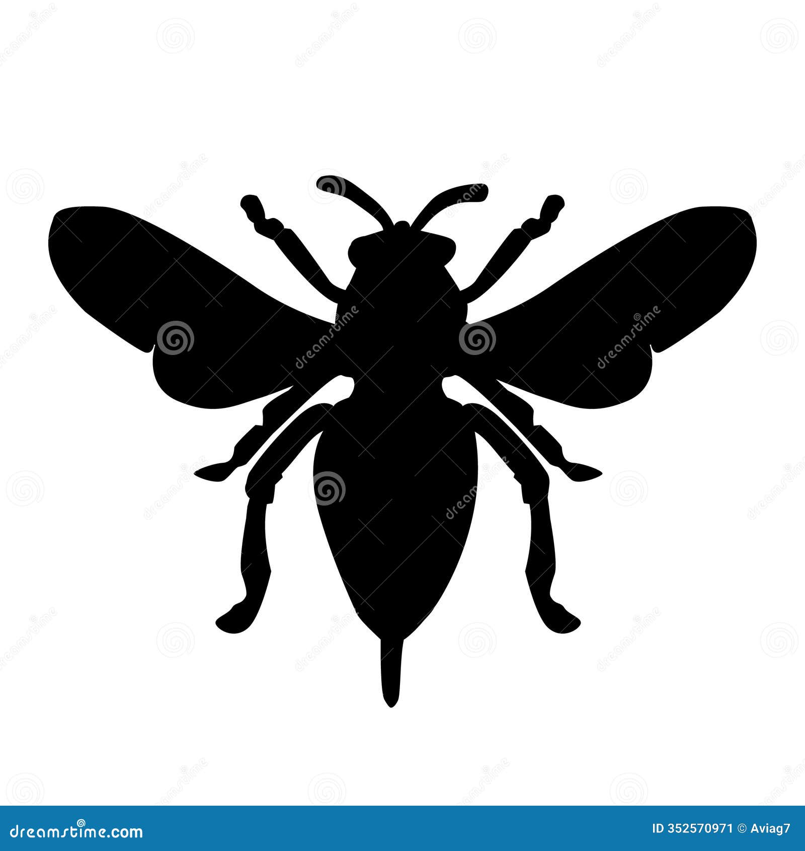 bug silhouette  on white background.  of insect with wings. black silhouette of beetle.