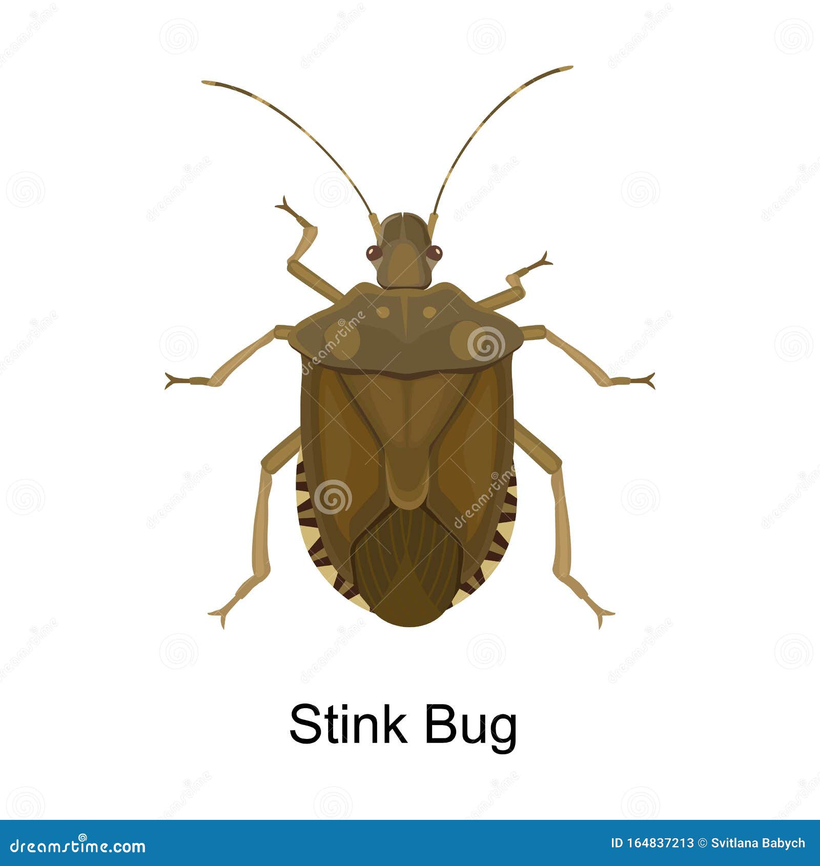 Bug Stink Vector Icon.Cartoon Vector Icon Isolated on White Background