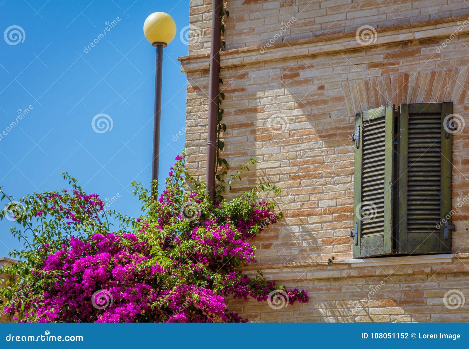 Buganvilla Que Florece En La Fachada De Un Chalet Histórico En El Campo  Toscano Foto de archivo - Imagen de terraza, fachada: 108051152
