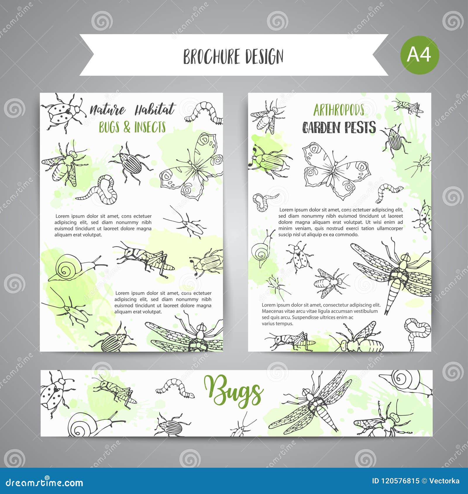bugs insects hand drawn banner. pest control concept. entomology poster cartoon  of pests and bug. 