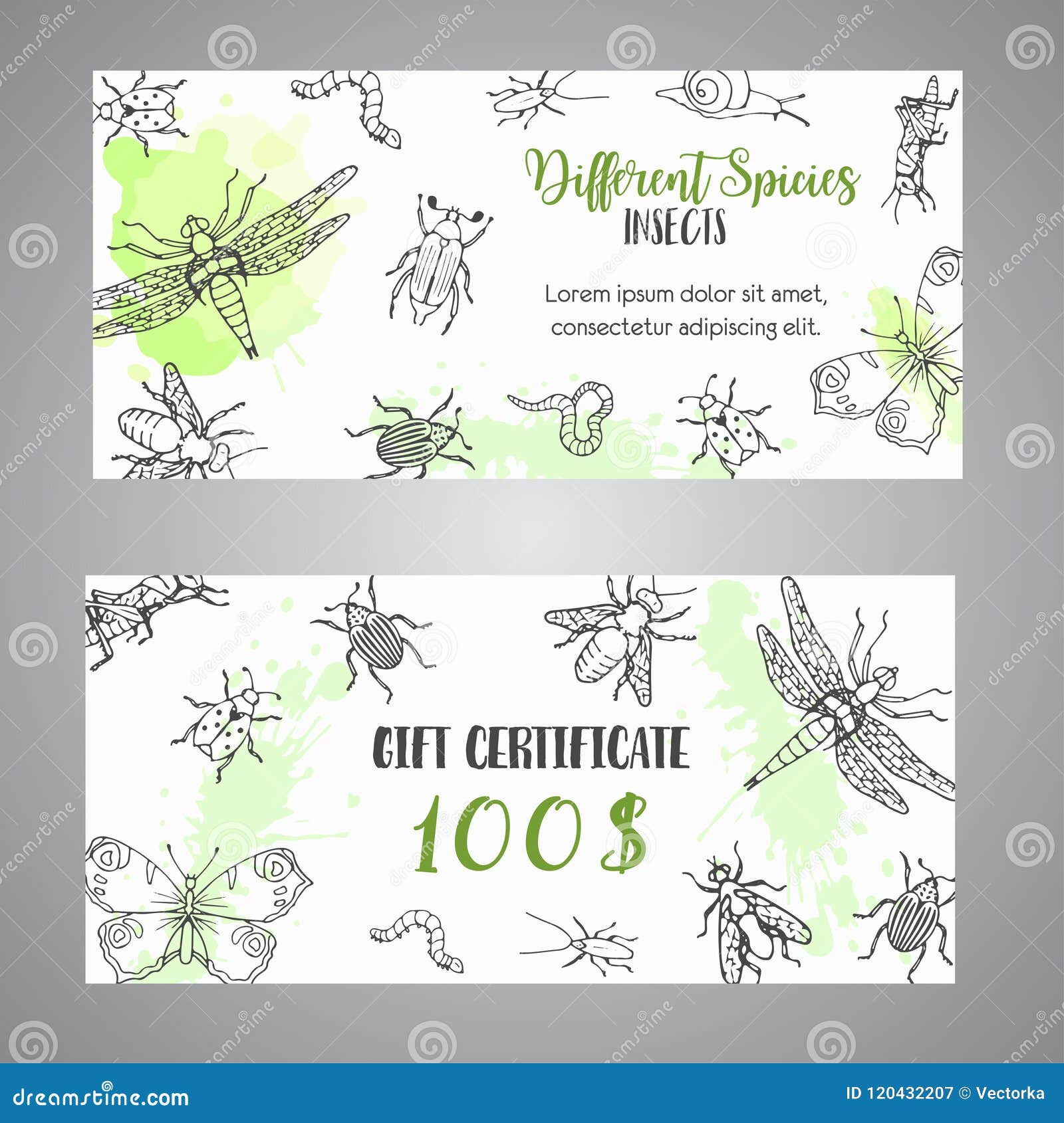 bugs insects hand drawn gift certificate. pest control concept. entomology poster. cartoon  of pests and bug