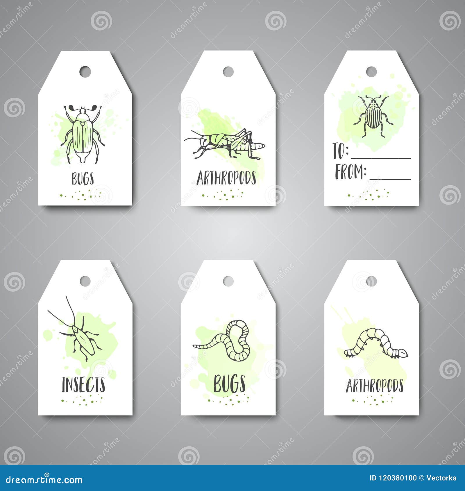 bugs insects hand drawn tag pest control concept. entomology cards. cartoon  of pests and bug. 