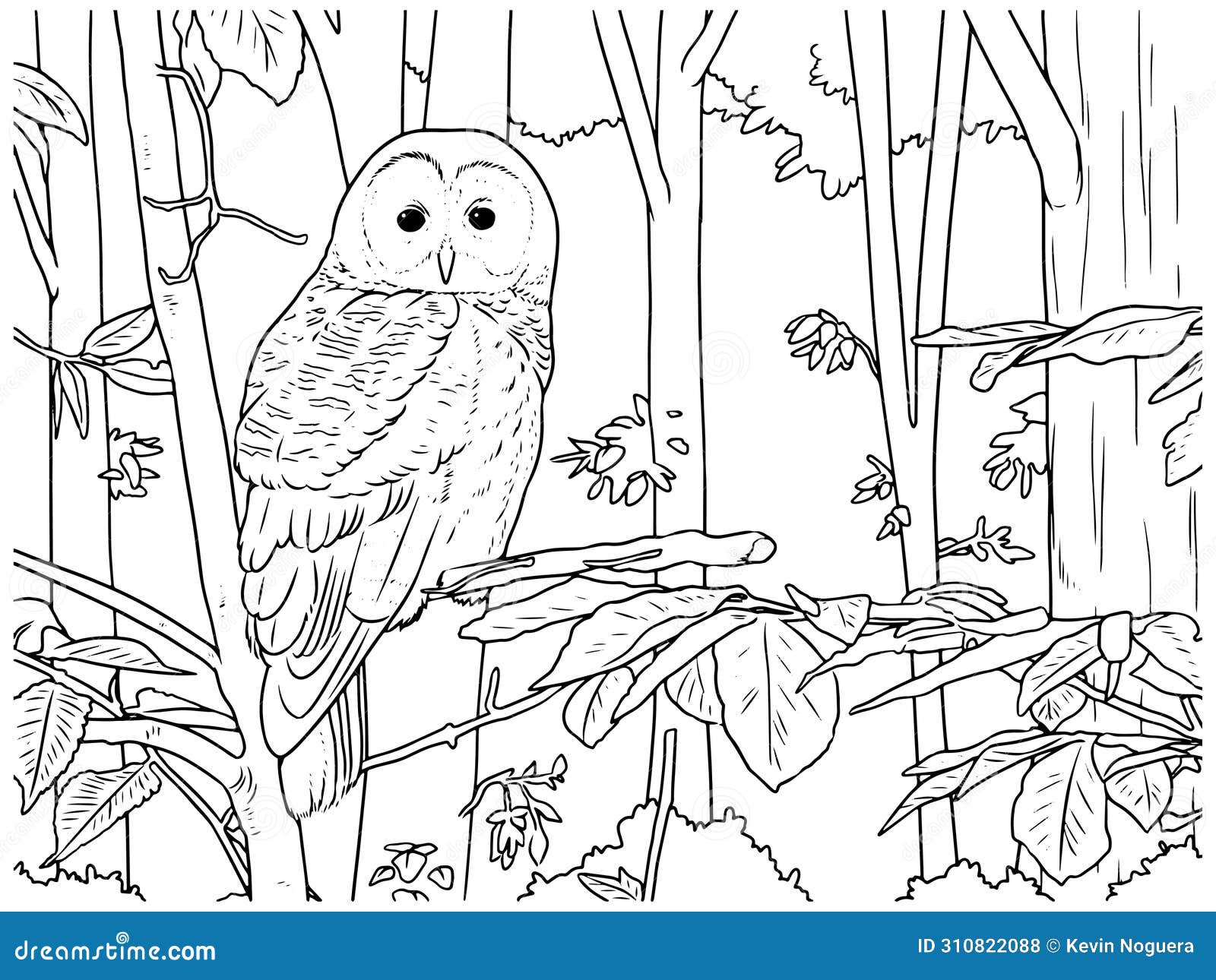  drawing of an owl in black and white