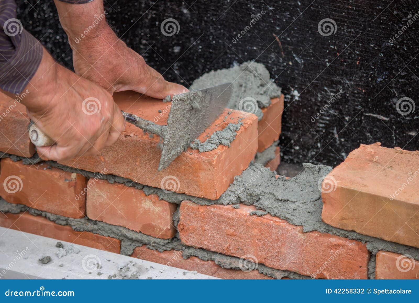 Builder Worker with Trowel Building Brick Wall Stock Photo Image of builder, cement 42258332