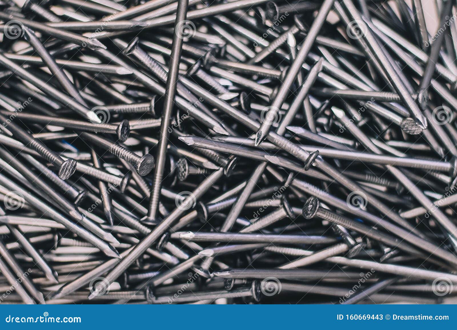 Building Accessories Nails or Screws. Stock Image Image of macro