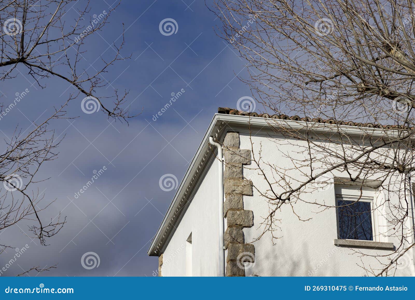 building. white colored building next to some bare and leafless trees in the surroundings.
