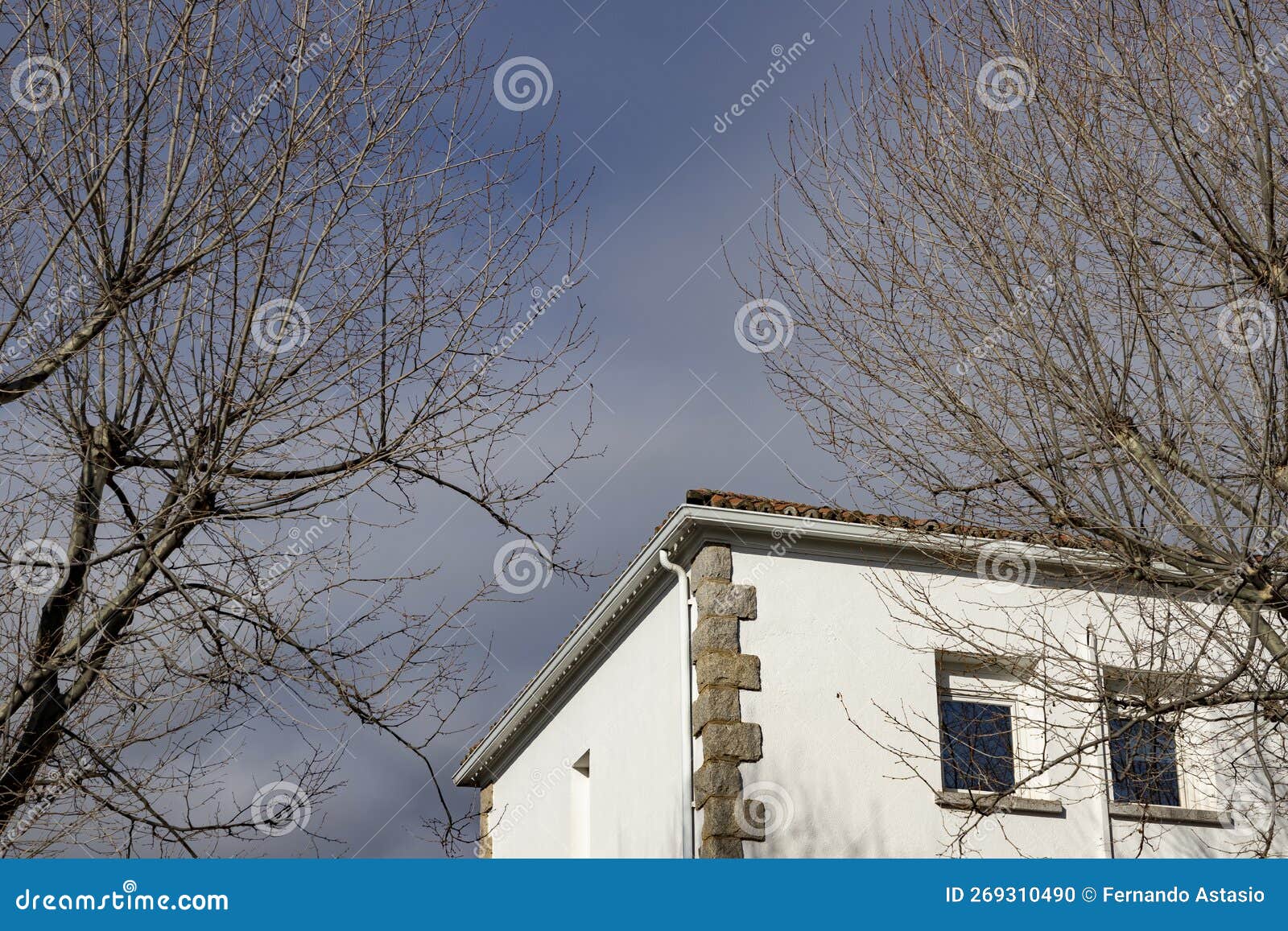 building. white colored building next to some bare and leafless trees in the surroundings.