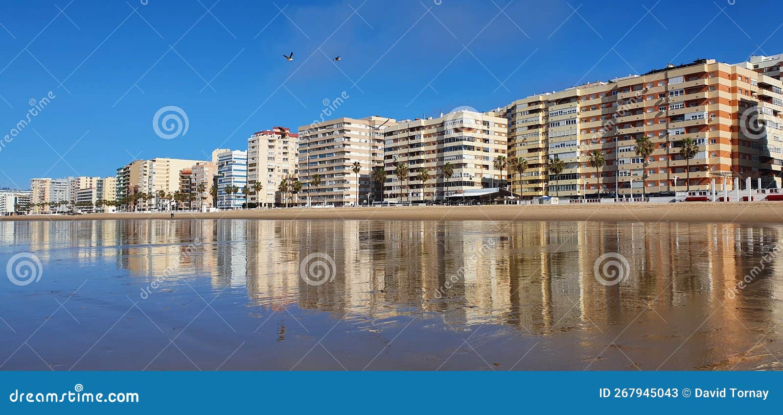 buildings reflected in the wet sand on the shore of the beach in cÃ¡diz.