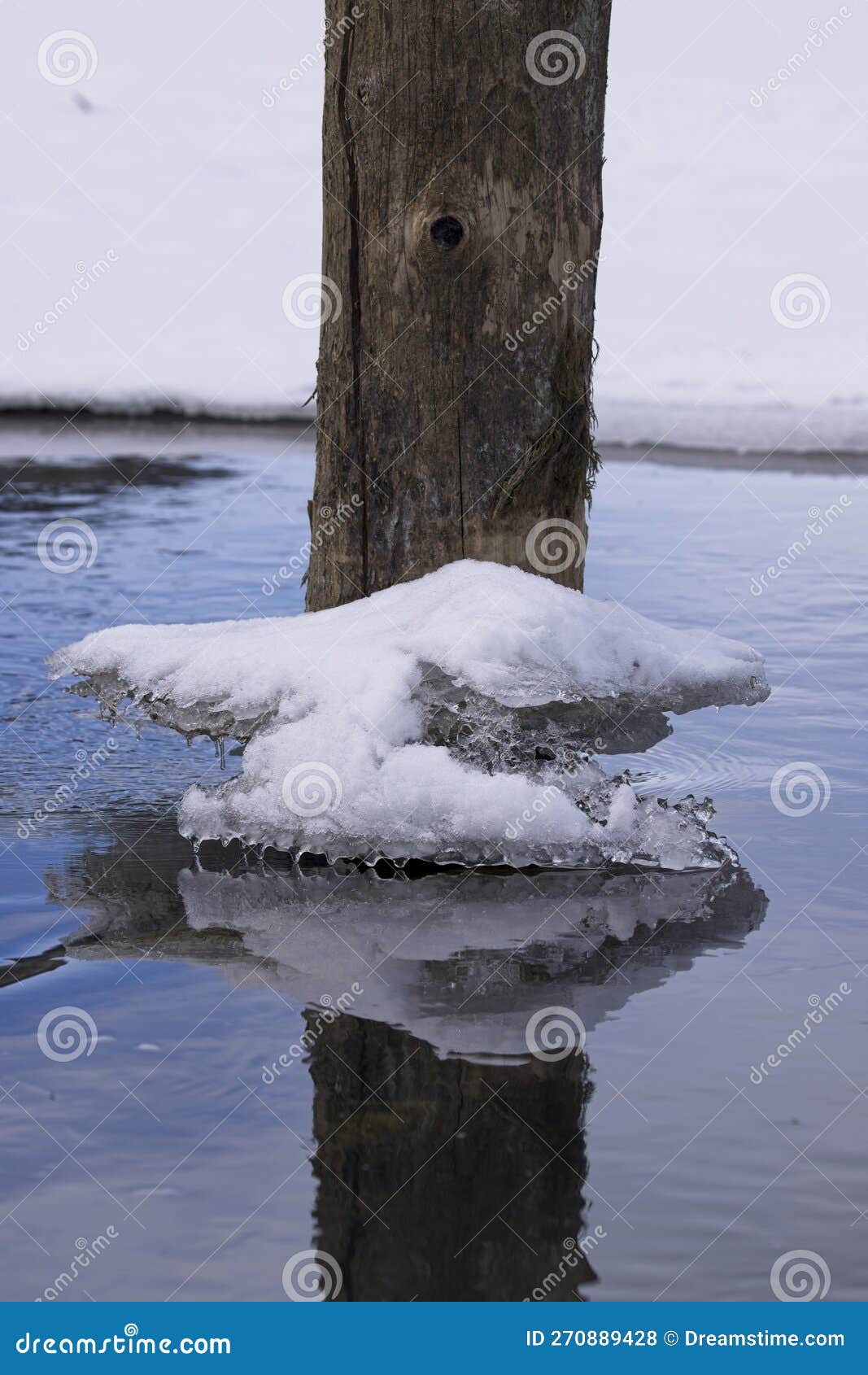 Built Up Ice in Water Against Piling in Idaho Stock Photo - Image