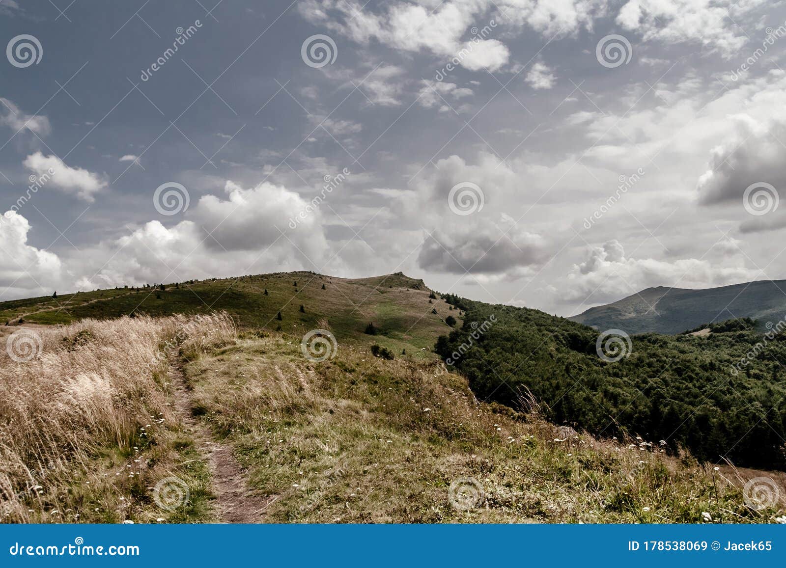 view from bukowe berdo in the bieszczady mountains in poland