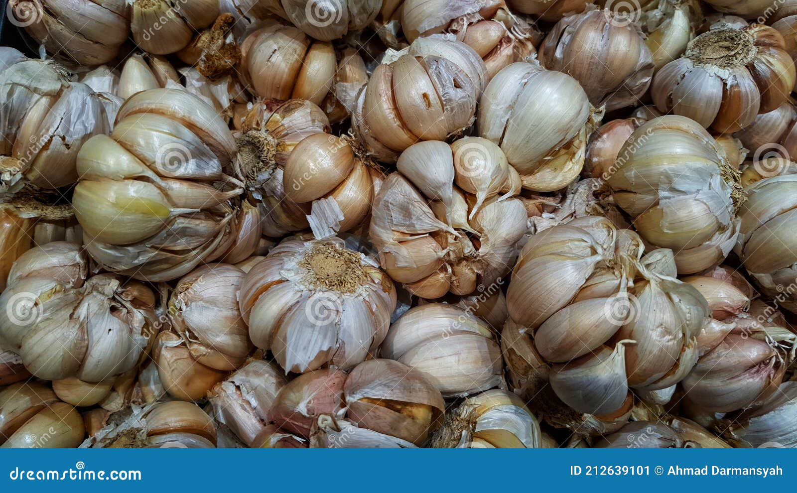 Bulb of Garlic Cloves at the Display in the Supermarket Stock Image