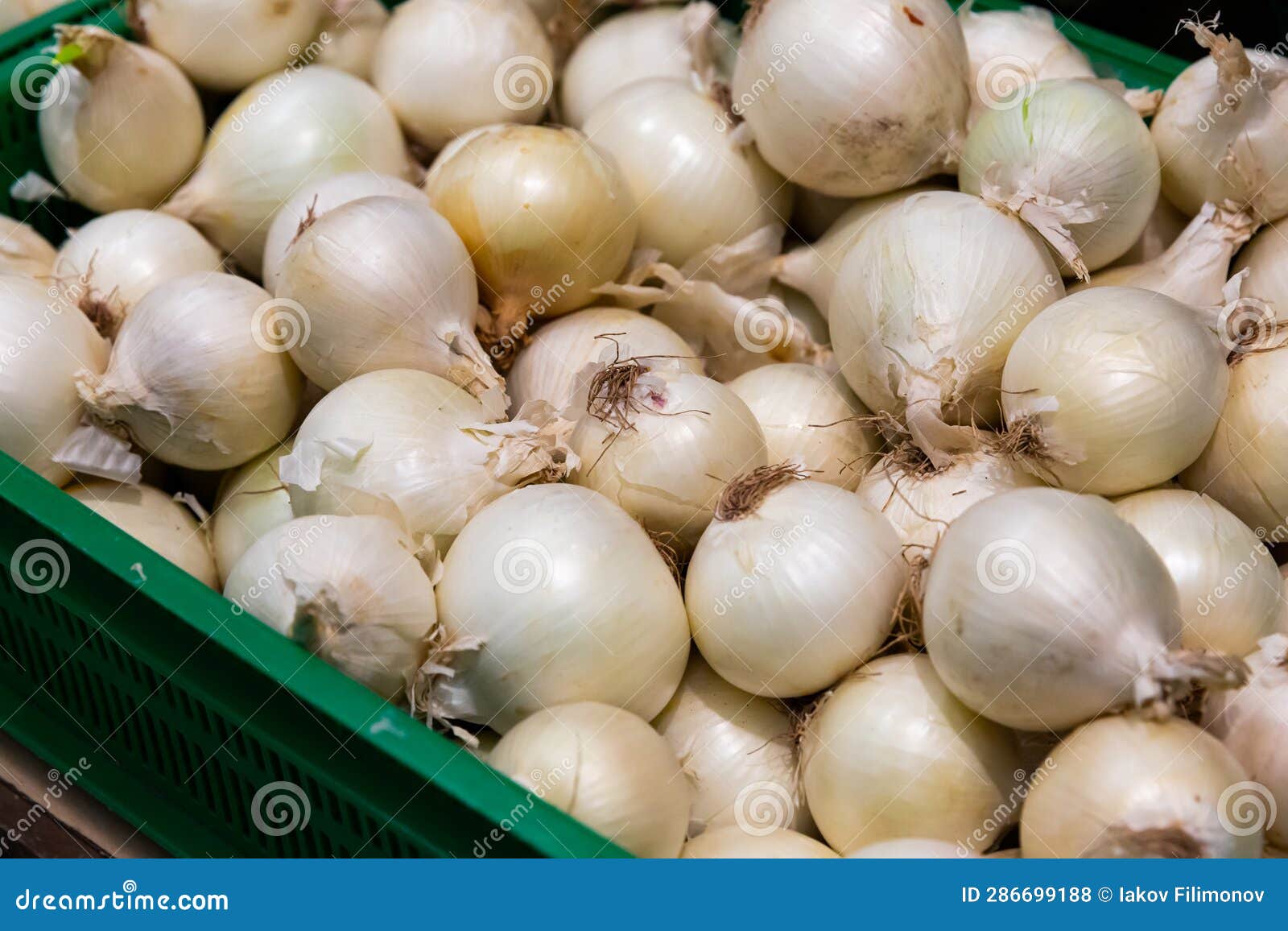 Bulb Onion on Counter in Grocery Store, Nobody Stock Photo Image of