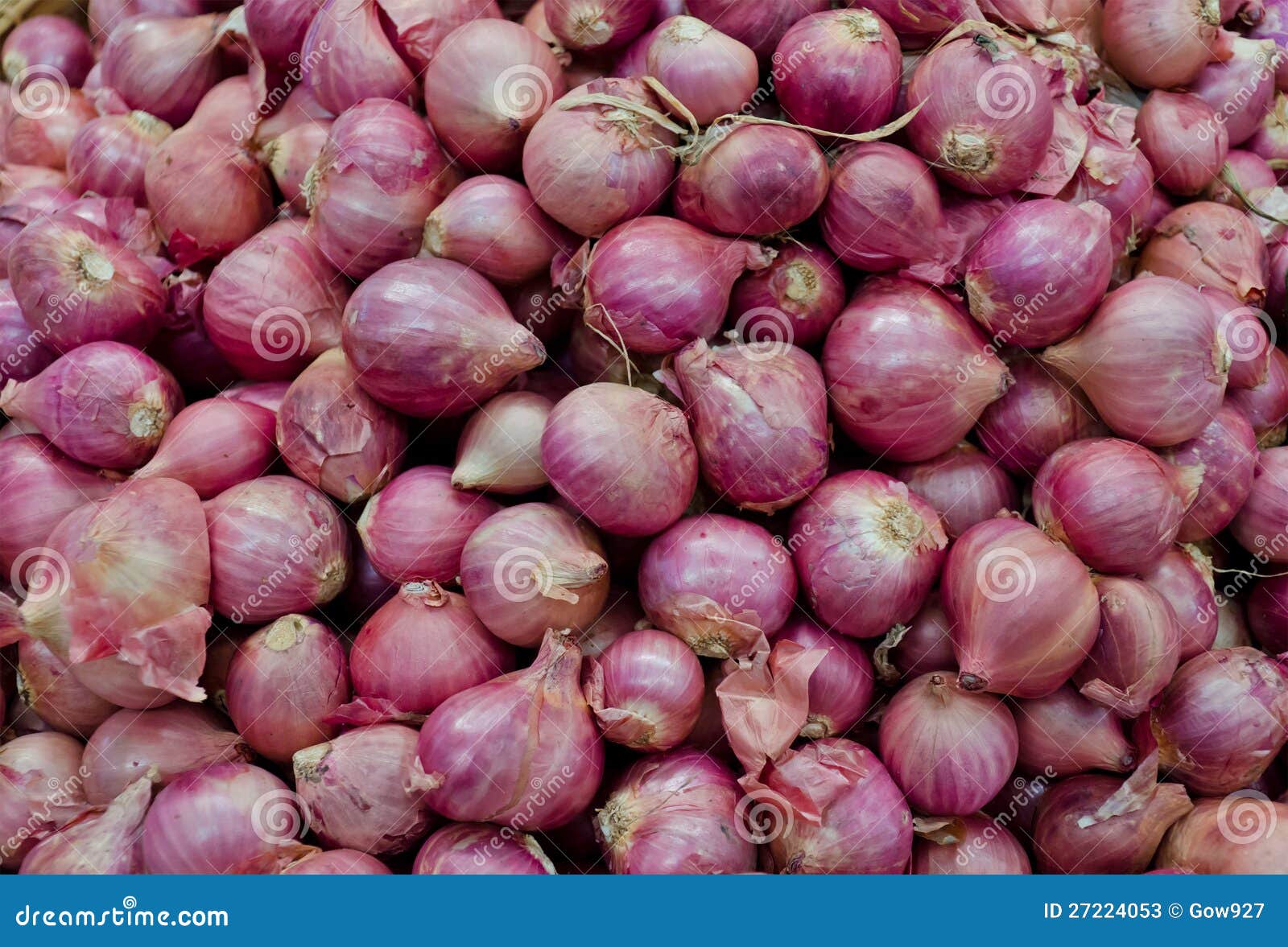 Bulb onions on sales stock image. Image of peal, agriculture 27224053