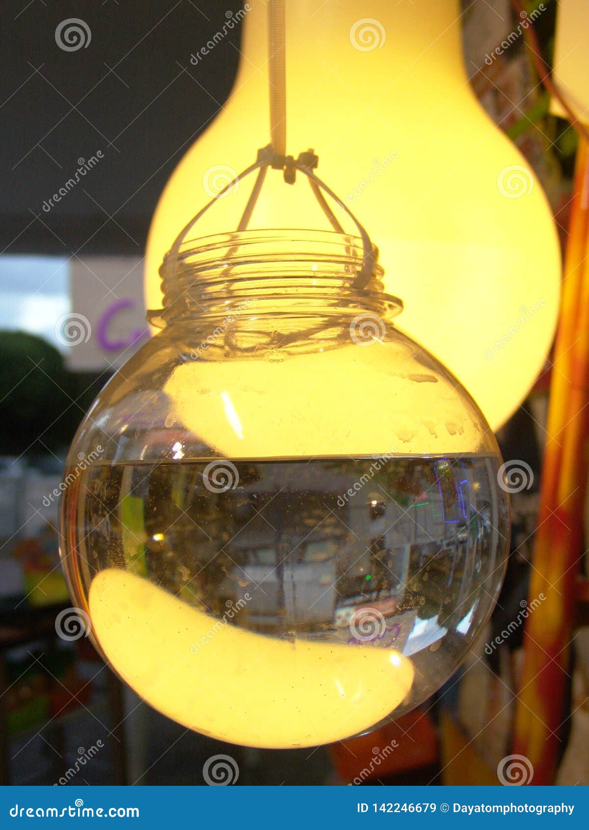 Bulb Shaped Glass Containers Filled with Water, Hanging on a String on