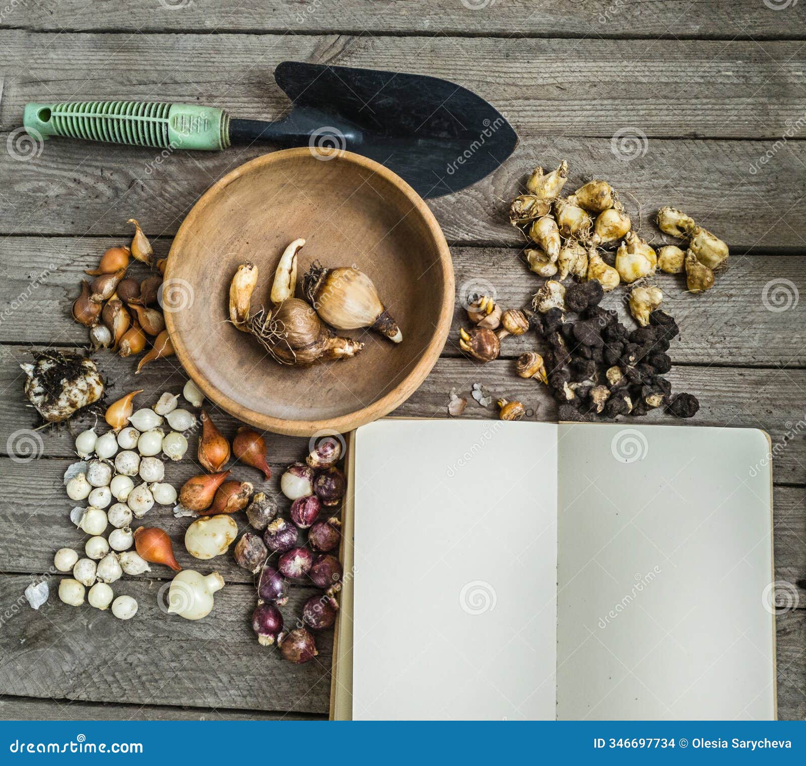 bulbous plants and an open notebook with a garden spade. top view