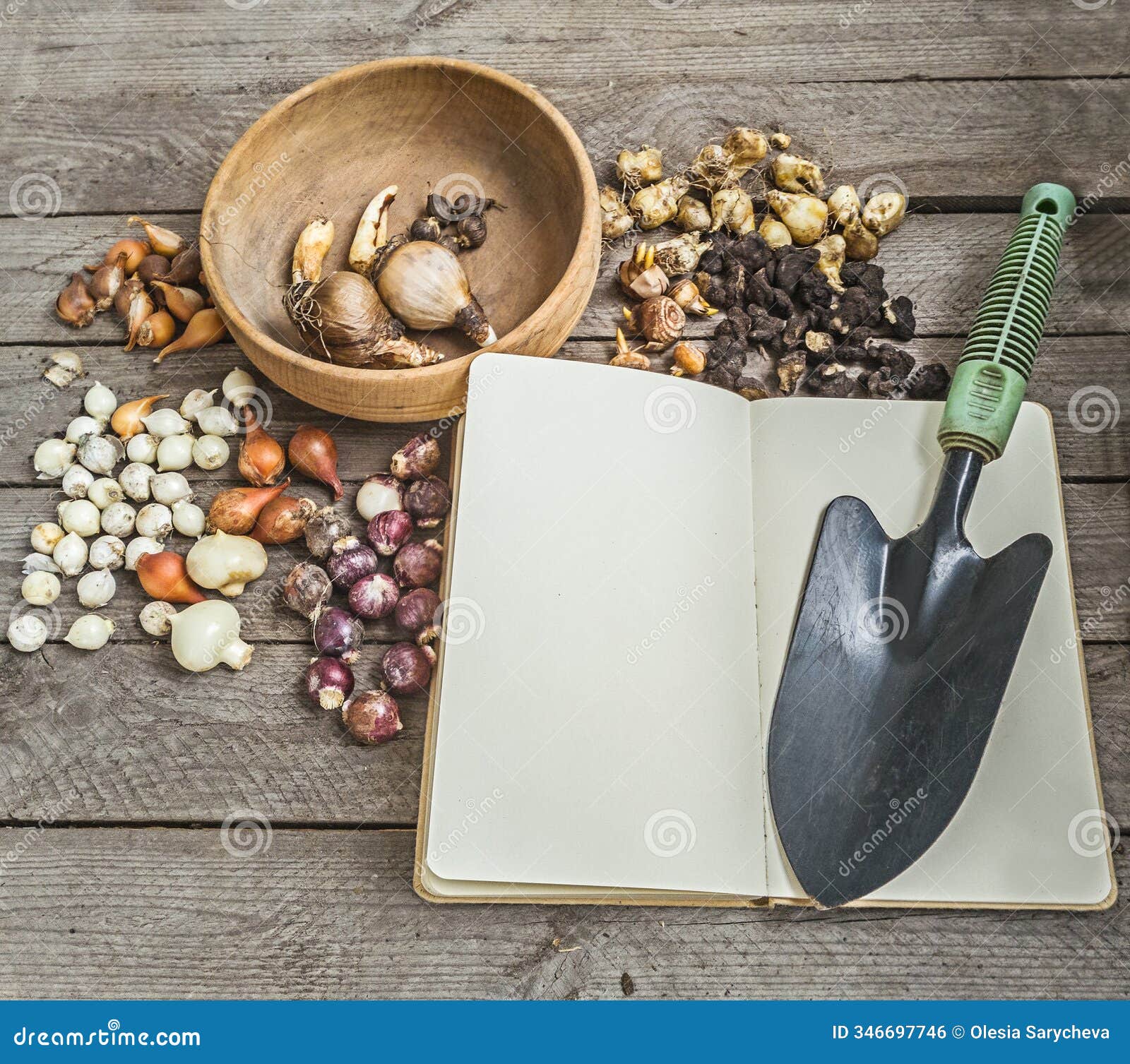 bulbous plants and an open notebook with a garden spade. top view