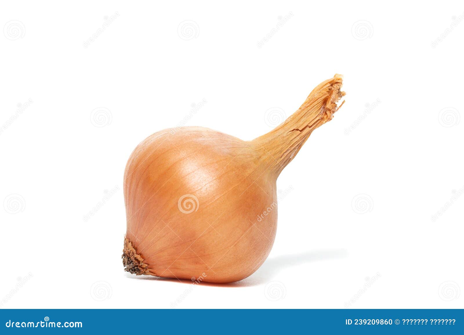 Multiplier onion hi-res stock photography and images - Alamy