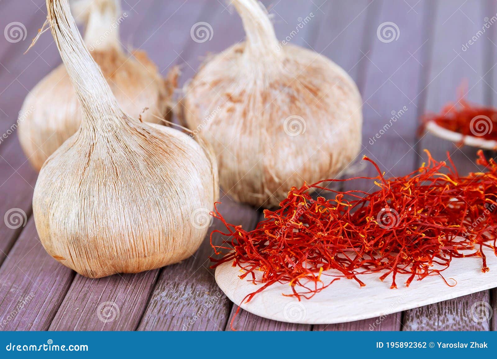 bulbs of crocus sativus, dry spice saffron in wooden spoon on a wooden background