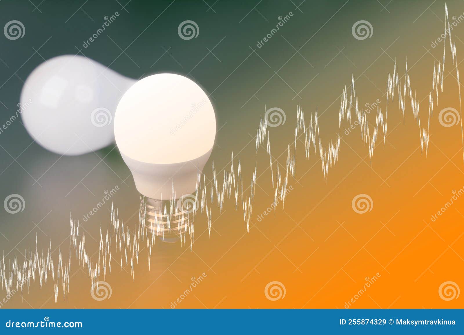 Bulbs with Growth Chart. the Concept of Increasing Prices for