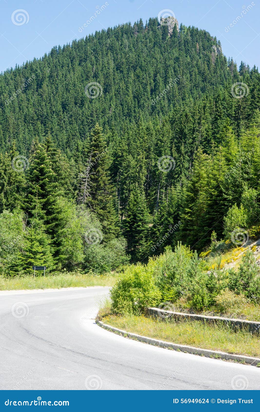 bulgaria. a sharp turn road in the rhodopes