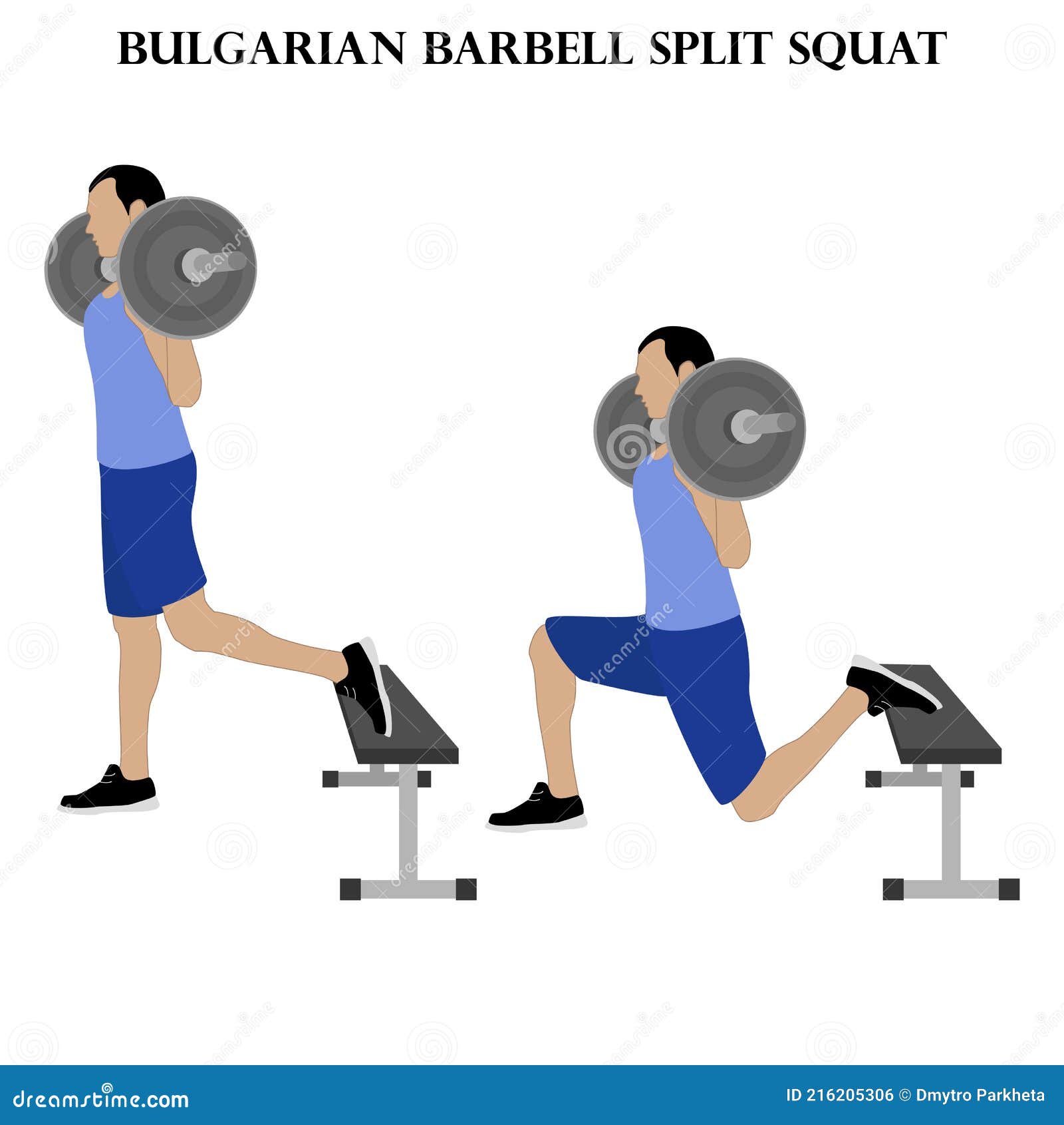 Bulgarian Barbell Split Squat Exercise Strength Workout Vector Illustration  Stock Vector - Illustration of background, athlete: 216205306