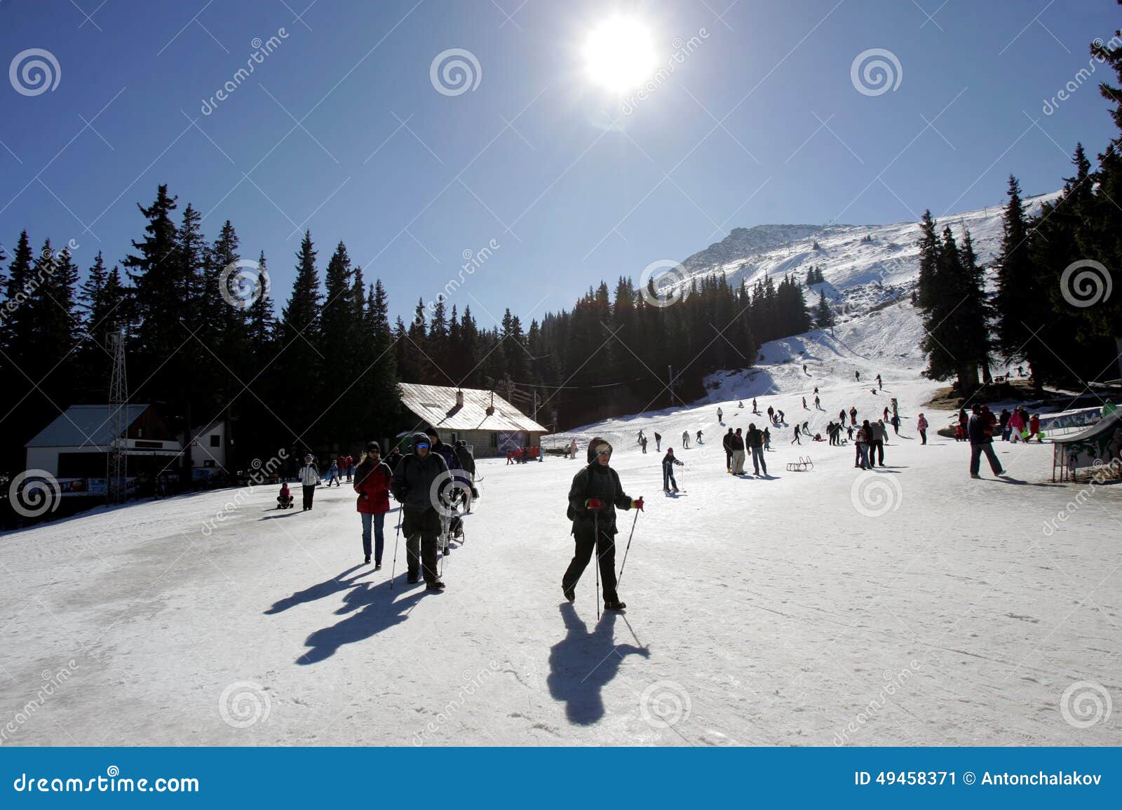 Bulgarien Vitosha Ski Tourism Redaktionelles Foto Bild Von Tourism Vitosha