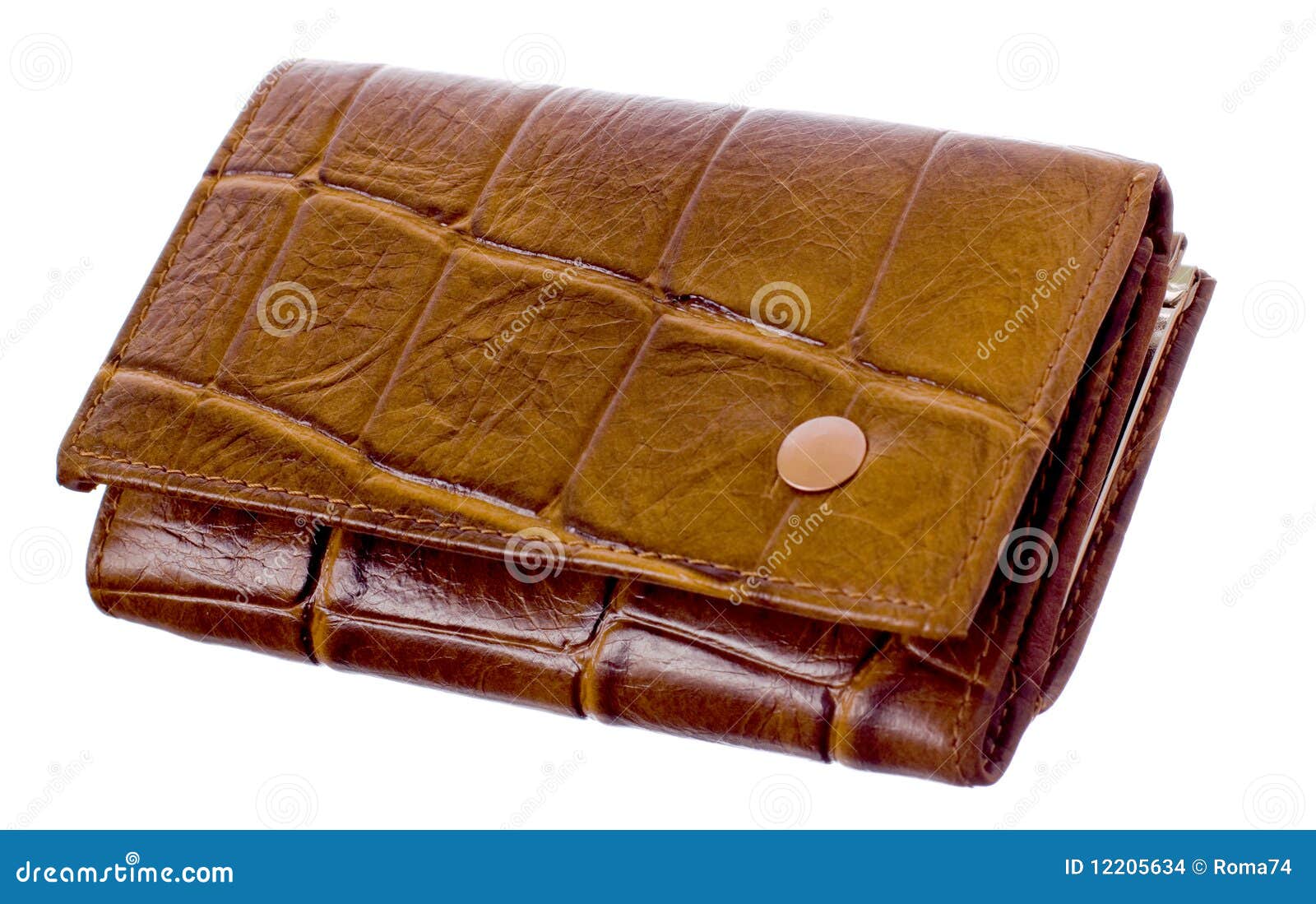 Bulging purse stock photo. Image of white, collector - 12205634
