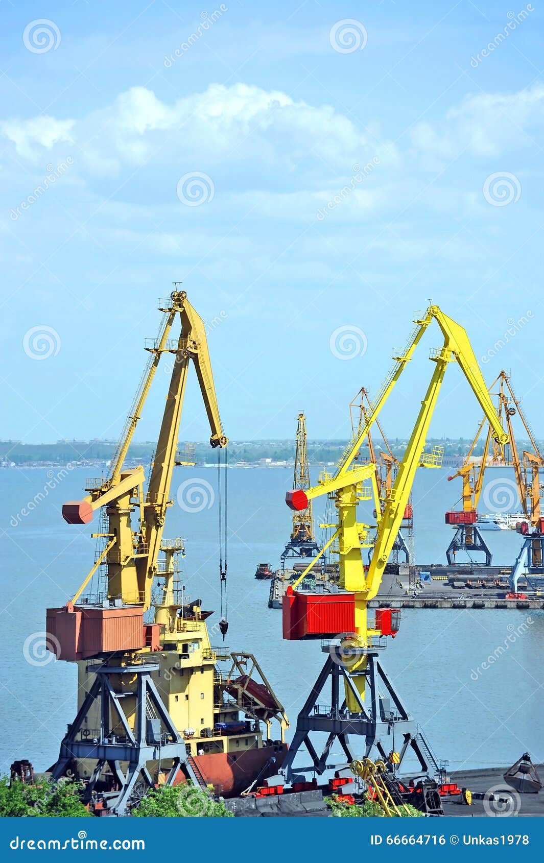 Bulk Cargo Ship Under Port Crane Stock Photo Image of loading