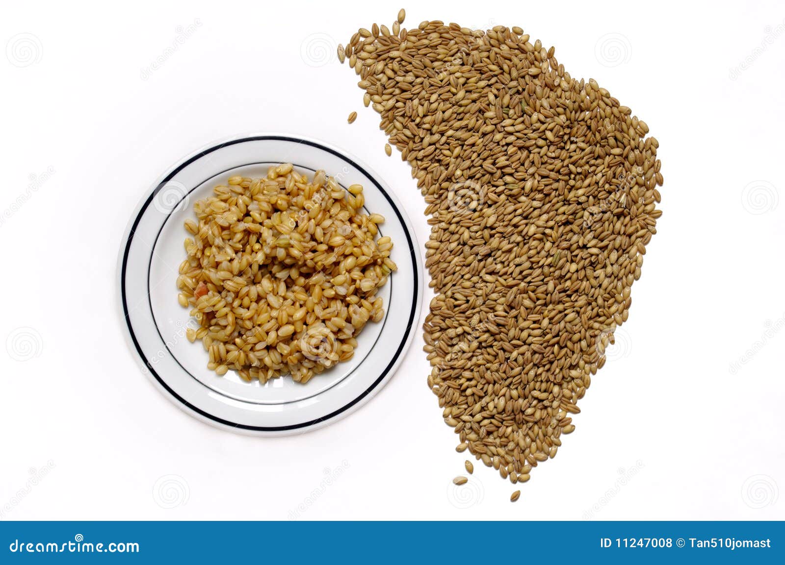 Bulk food barley stock photo. Image of health, white 11247008