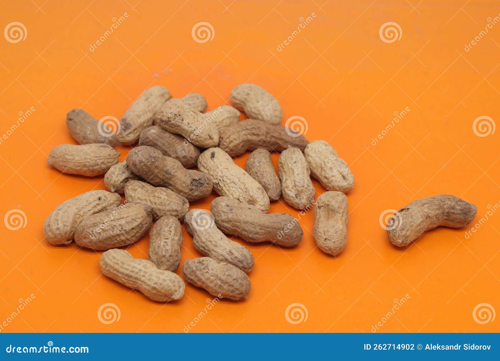 Bulk Peanuts, Roasted Nut in Shell, Proper Nutrition. Peanuts are