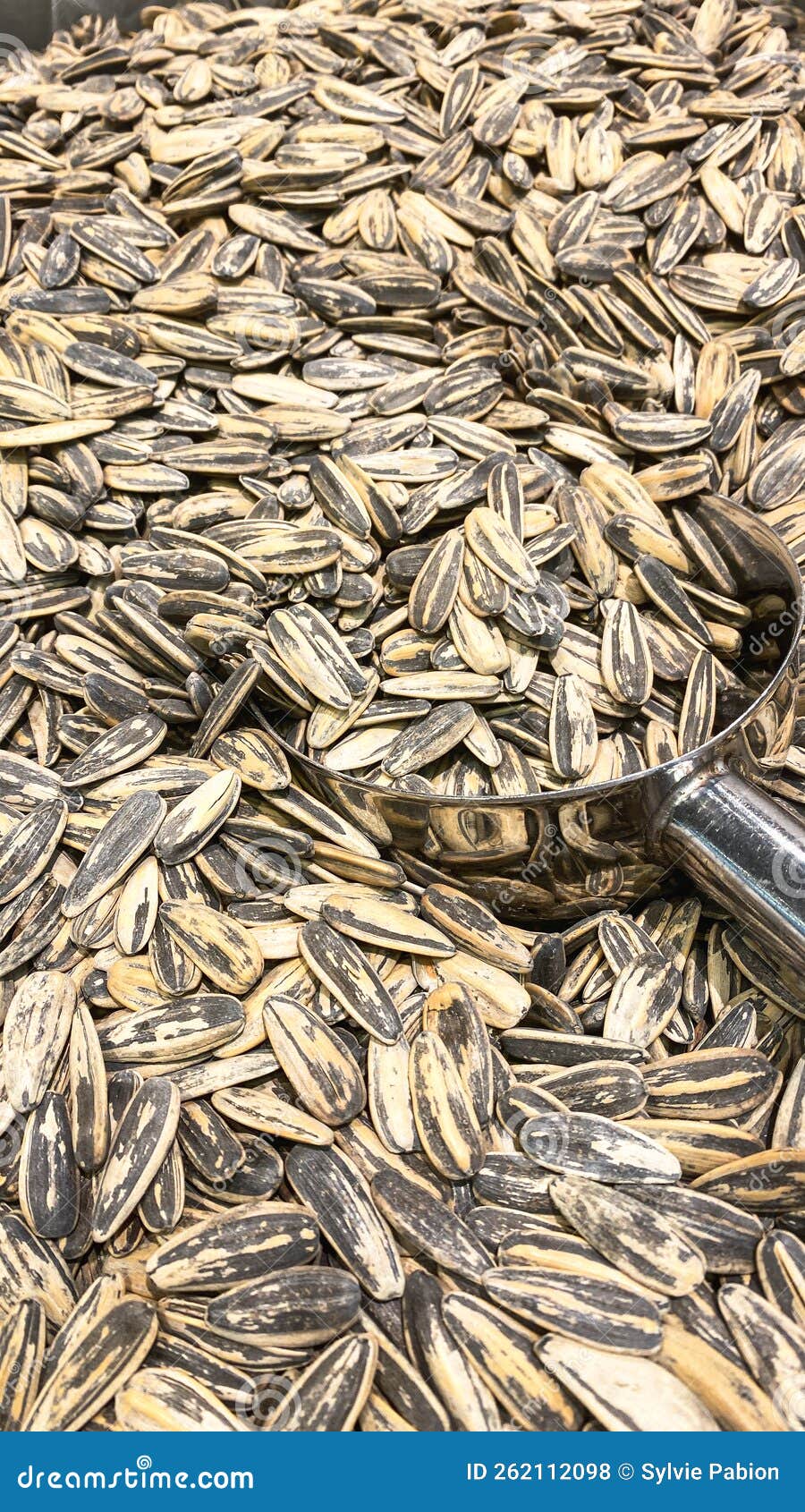 Bulk Sunflower Seeds in the Supermarket Stock Photo Image of seed, group 262112098