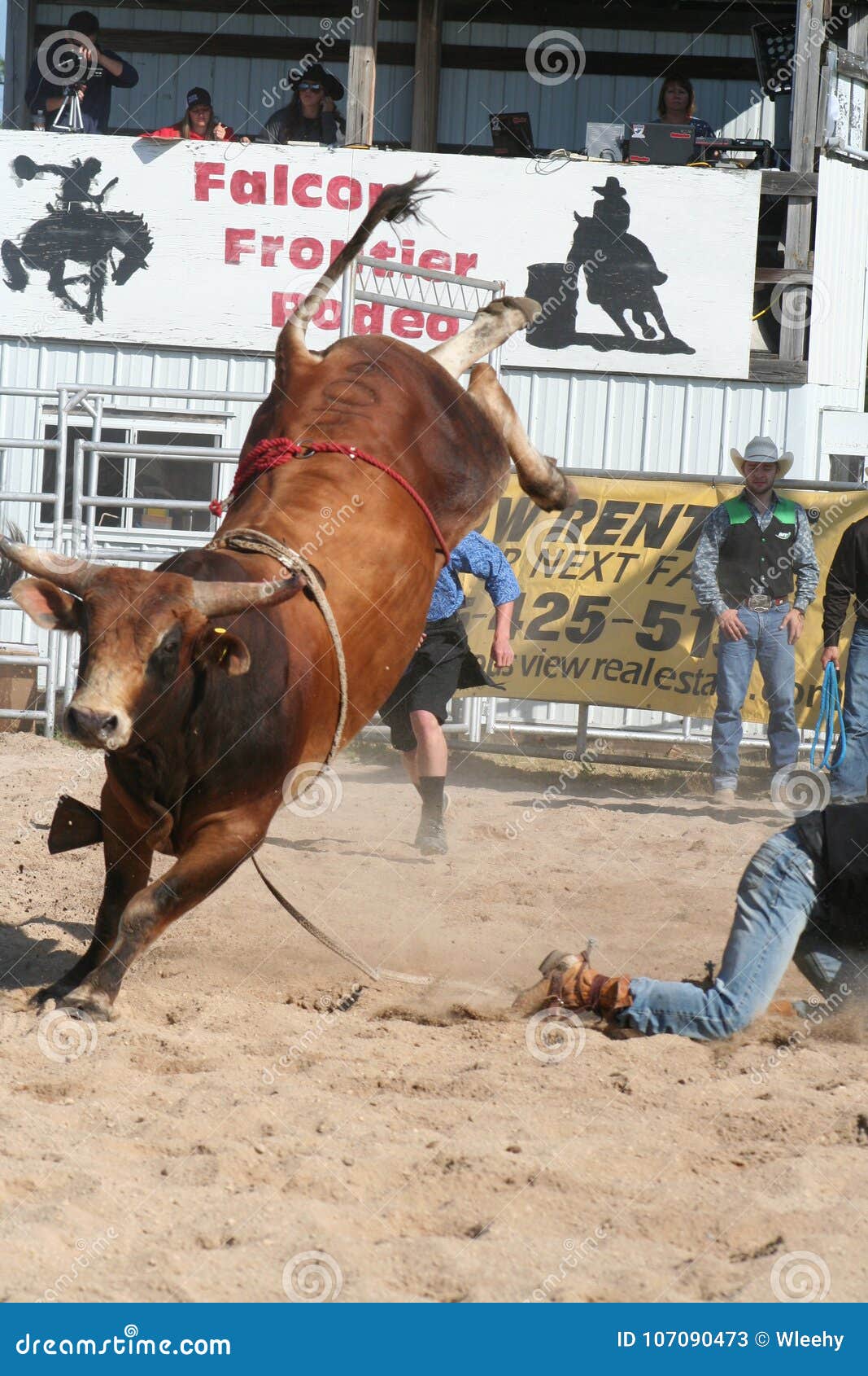 Bull bucking 2 editorial stock photo. Image of bull 107090473