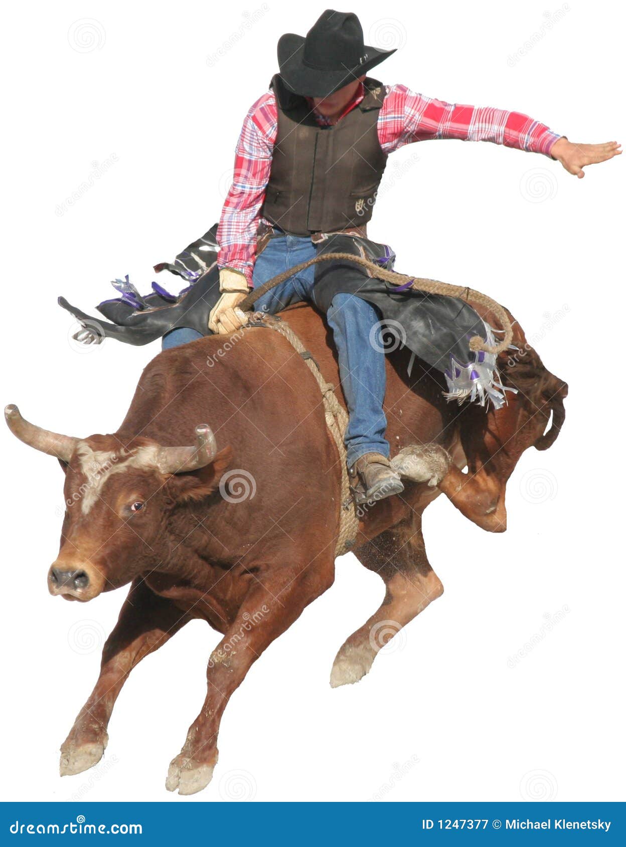 bull rider