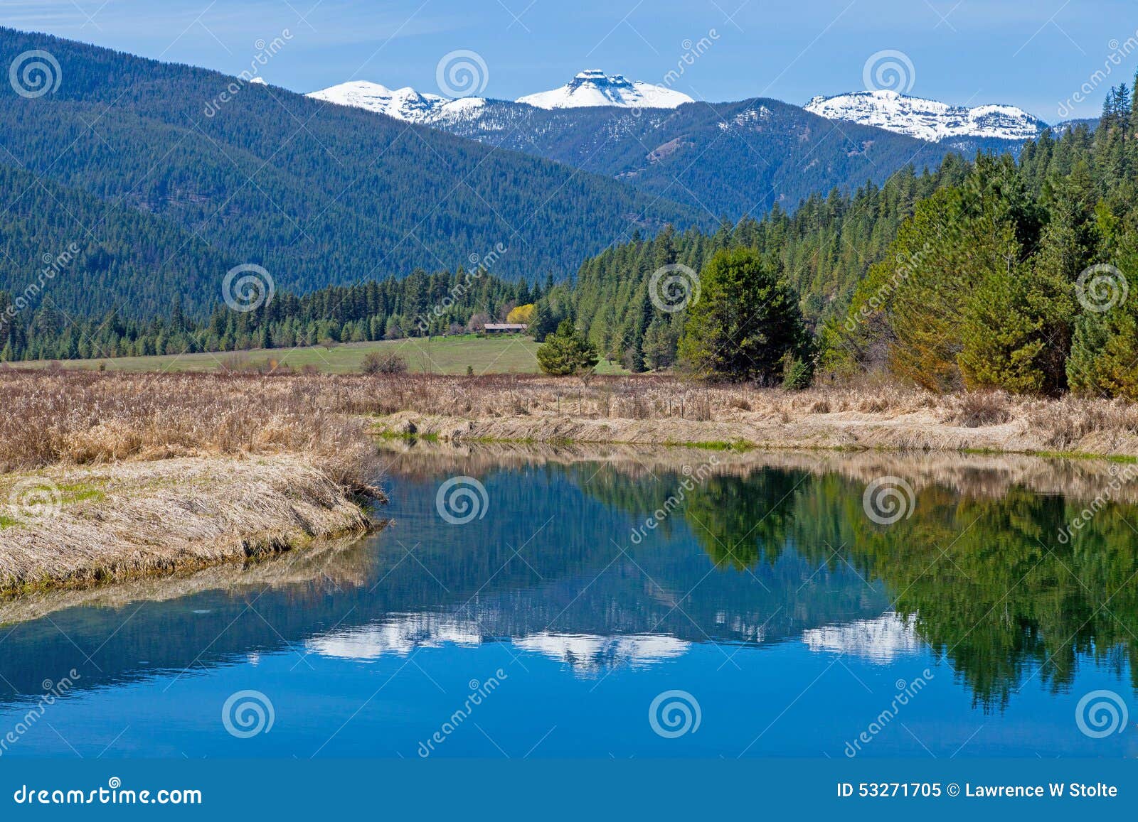 Bull River Reflection stock image. Image of reflection 53271705