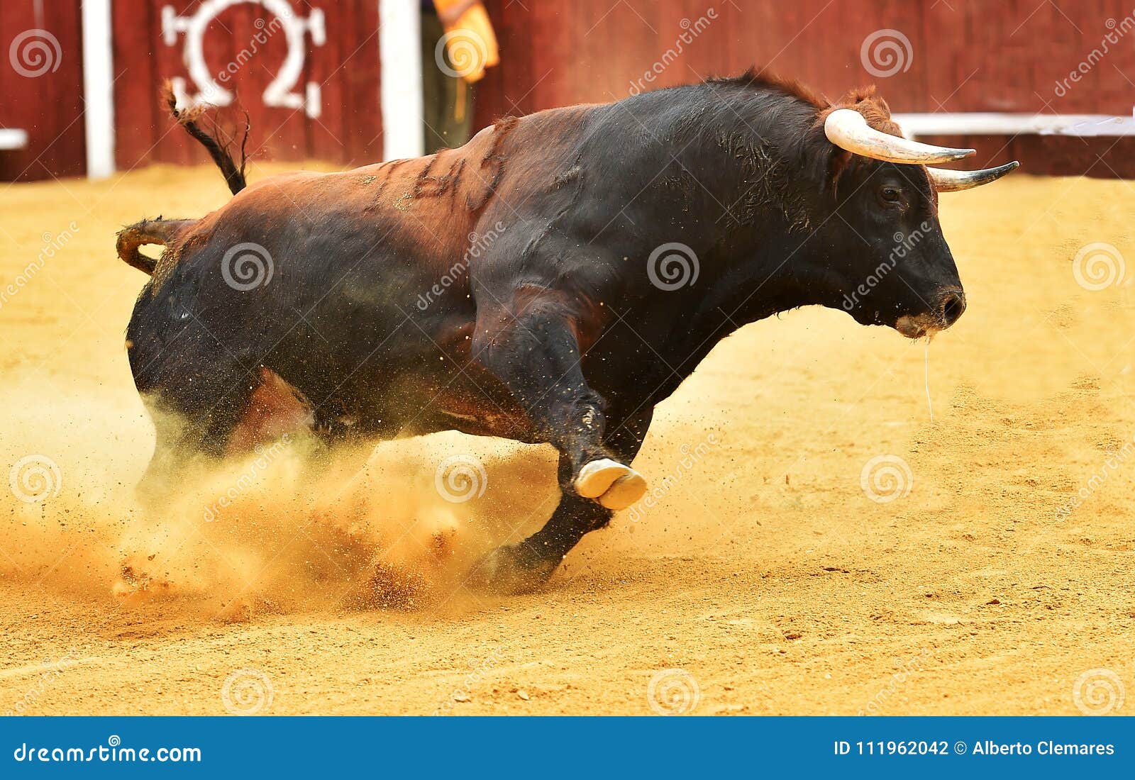 Bull in spain editorial photography. Image of death 111962042